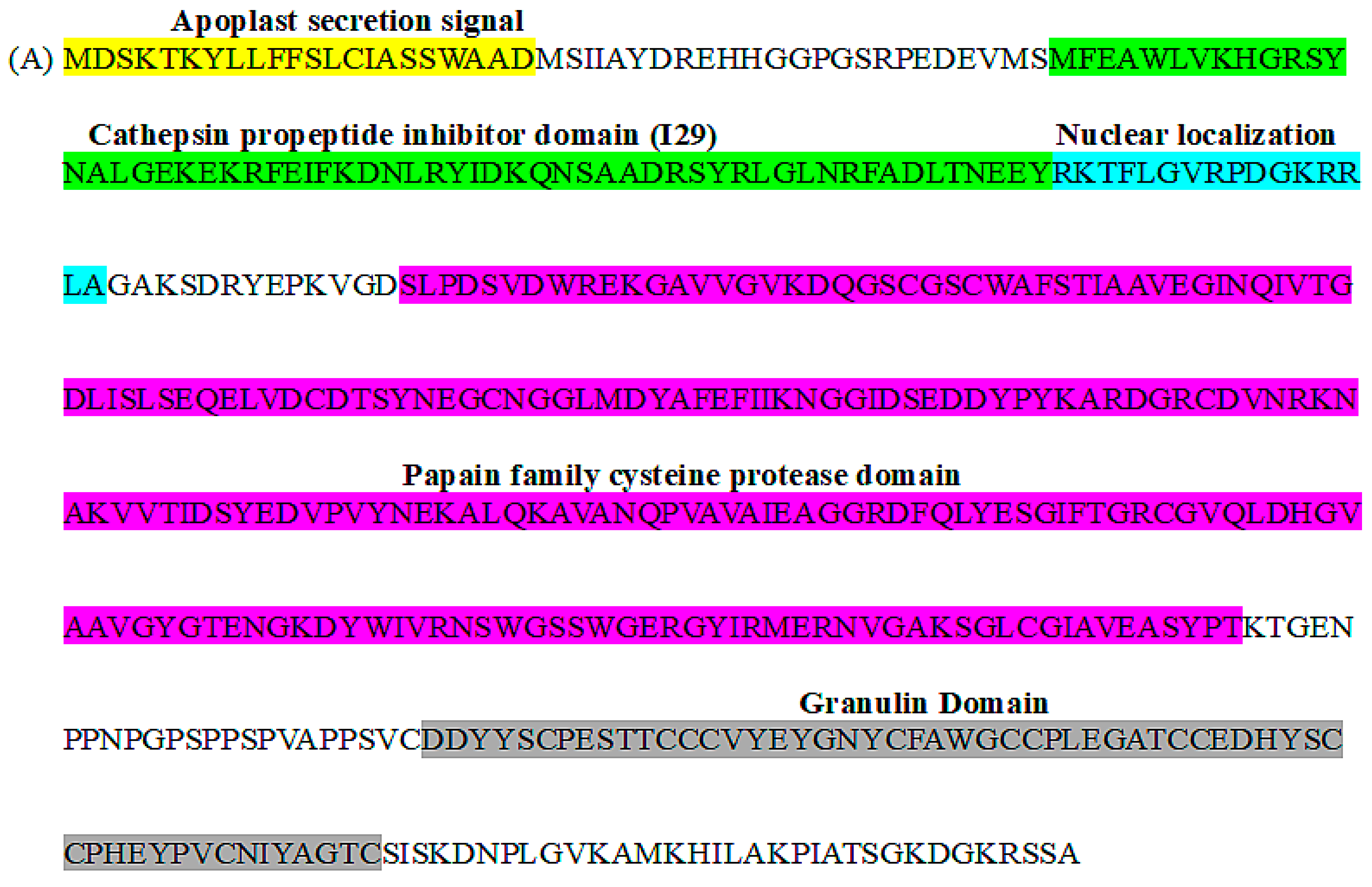 Plants 14 01427 g001a