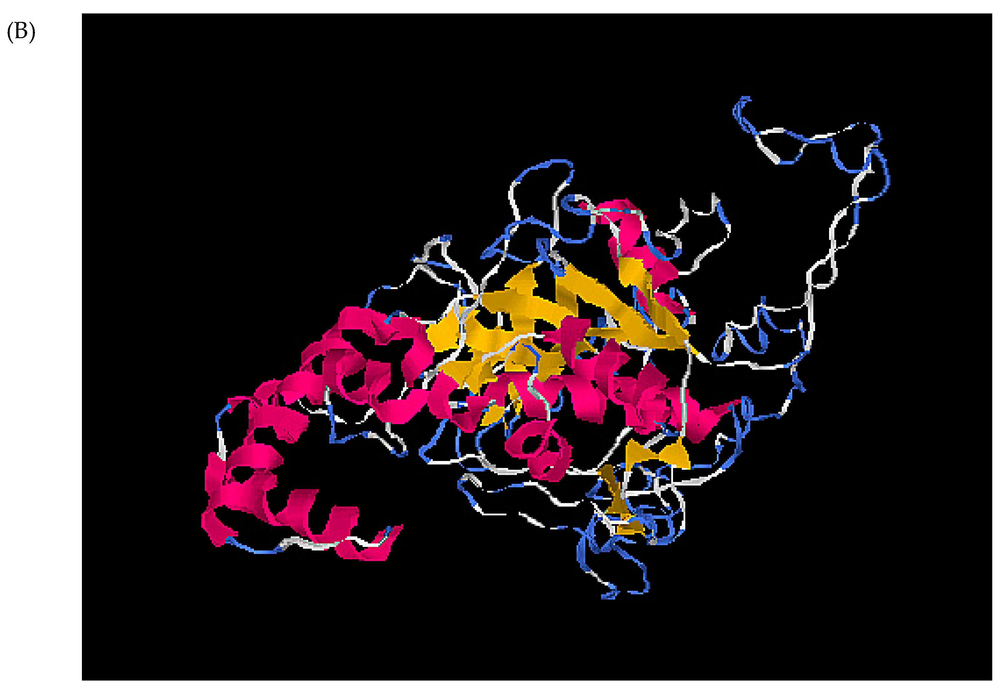 Plants 14 01427 g001b