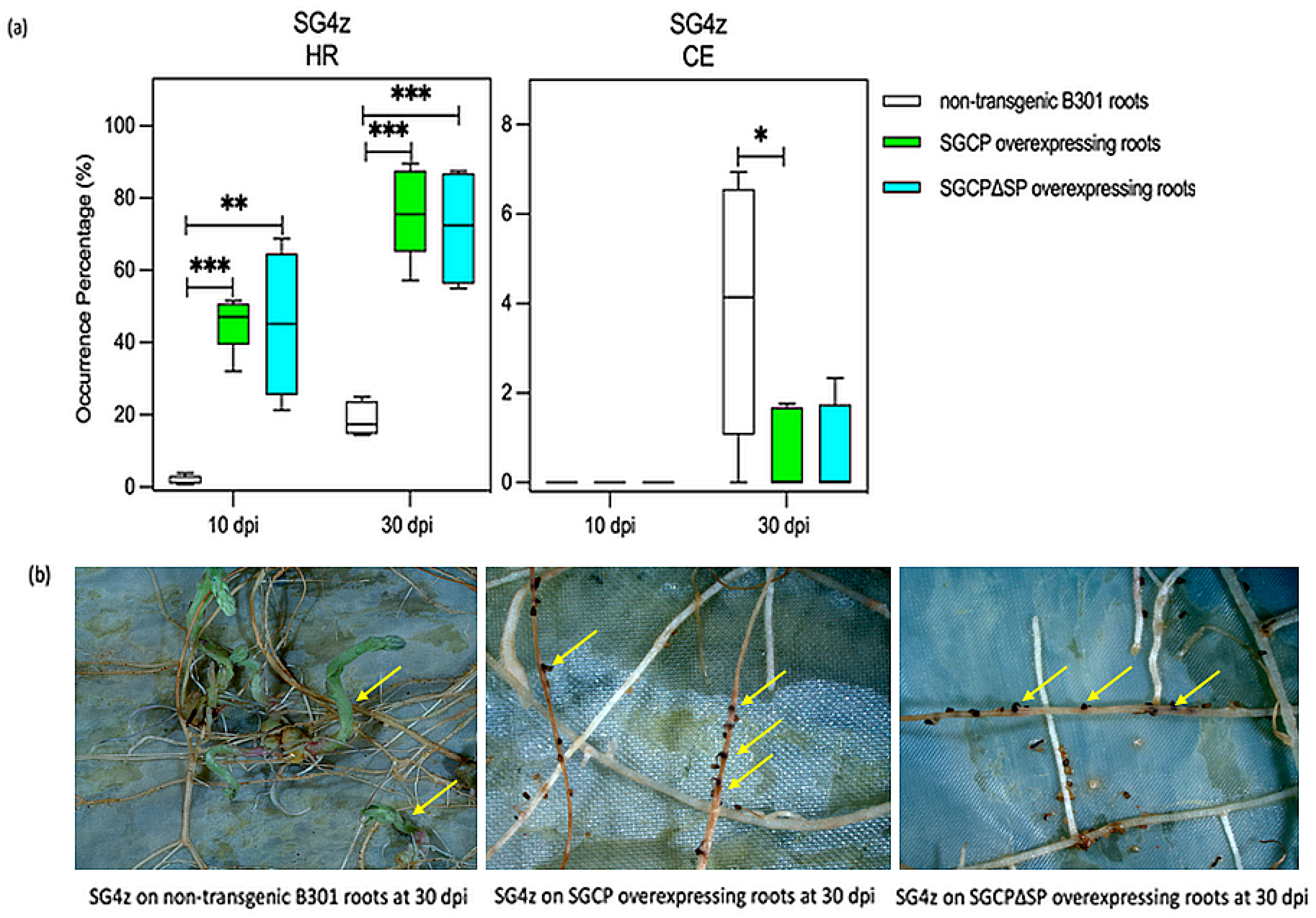 Plants 14 01427 g003