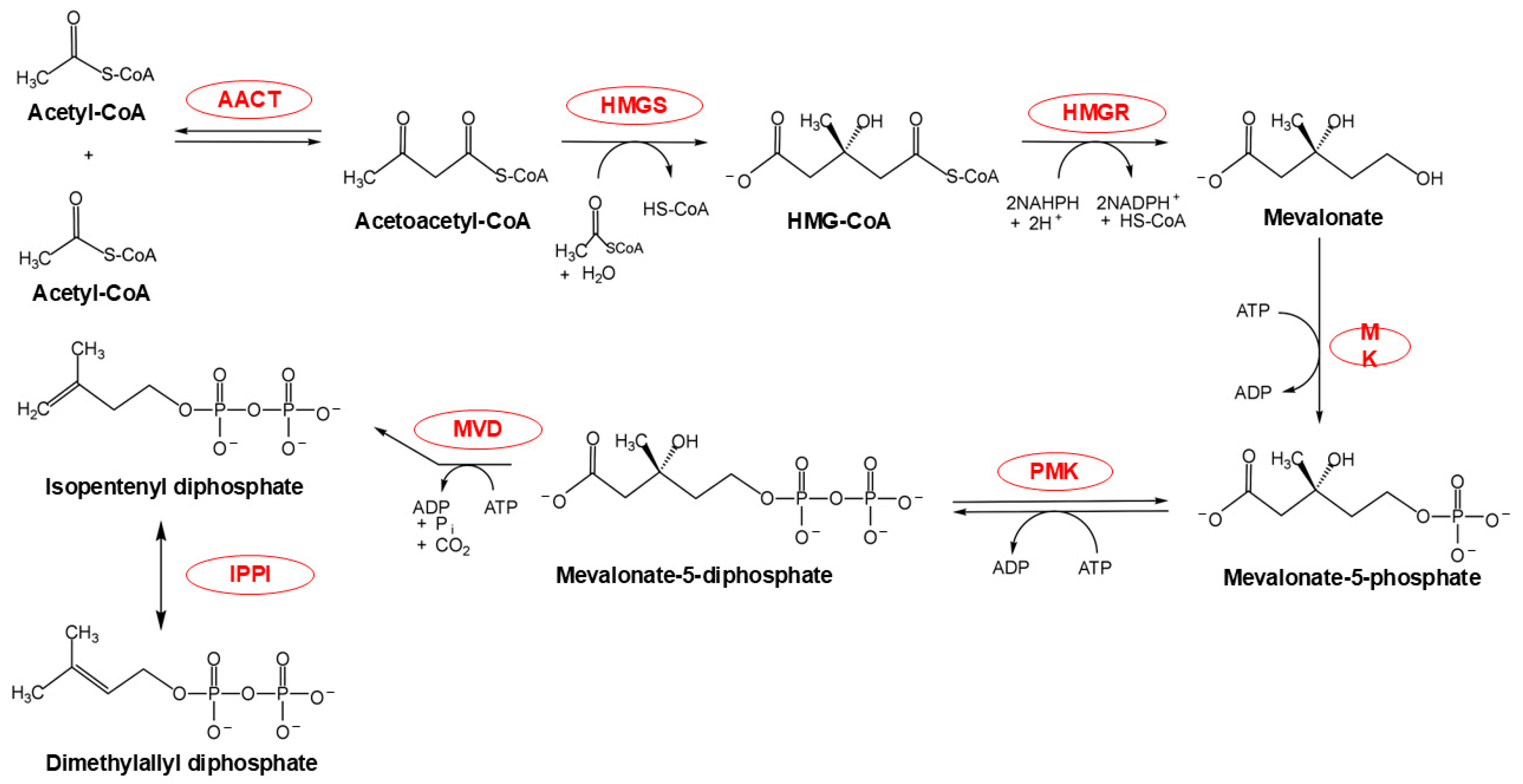 Plants 14 01428 g002