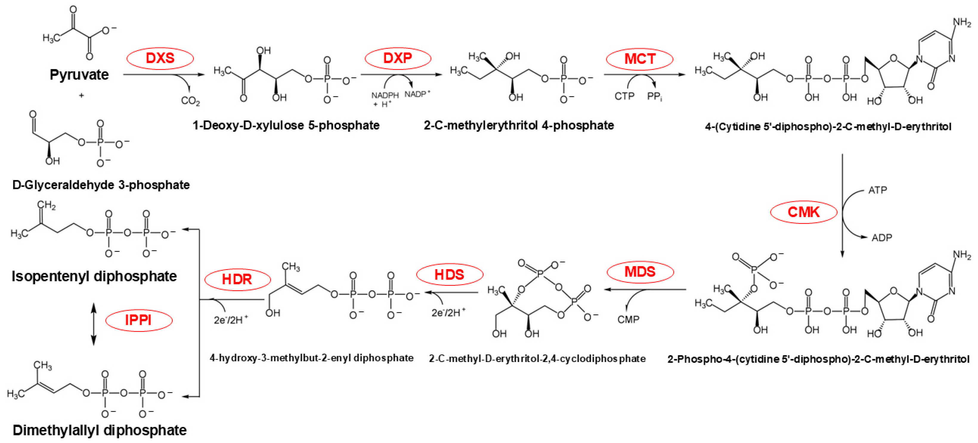 Plants 14 01428 g003