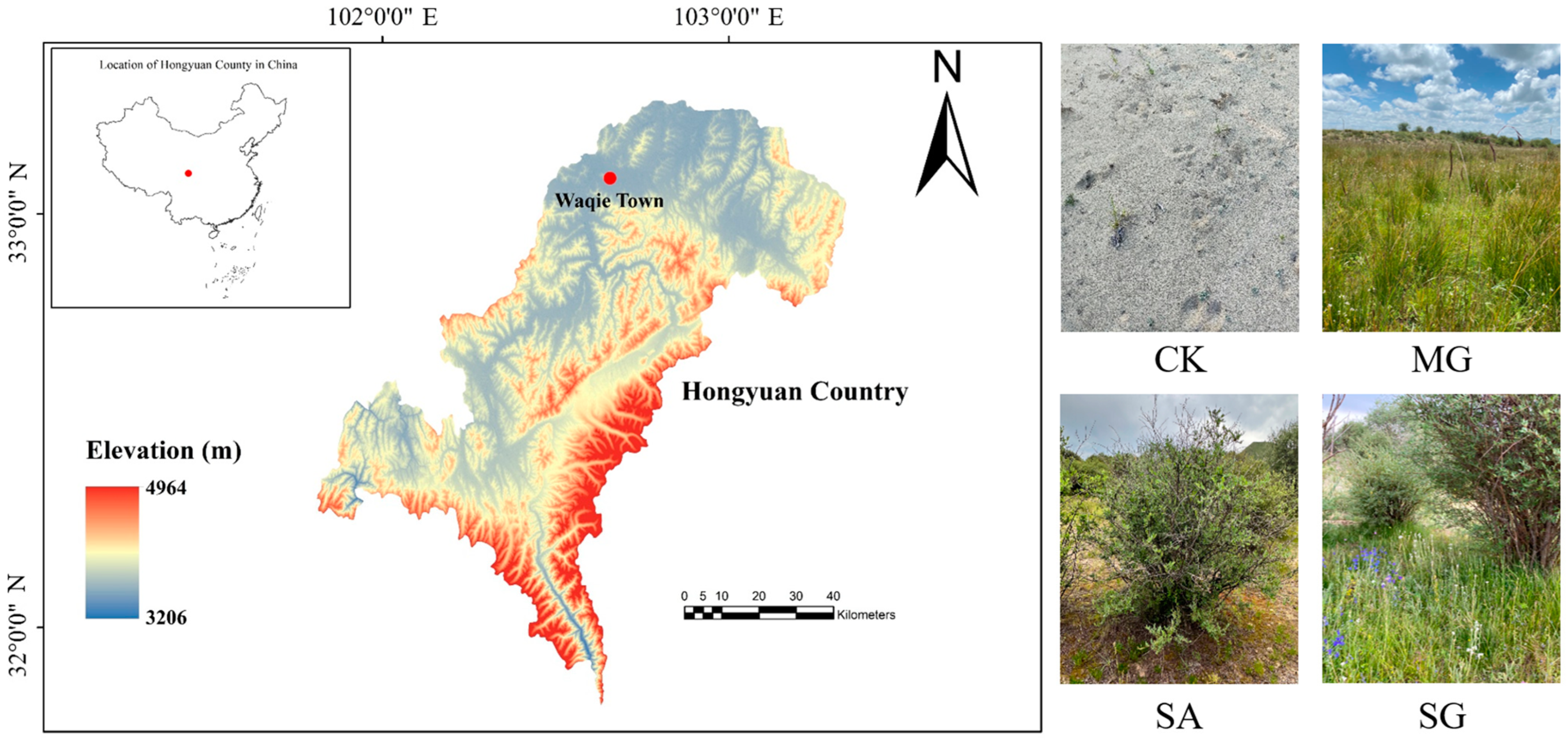 Plants 14 01429 g003