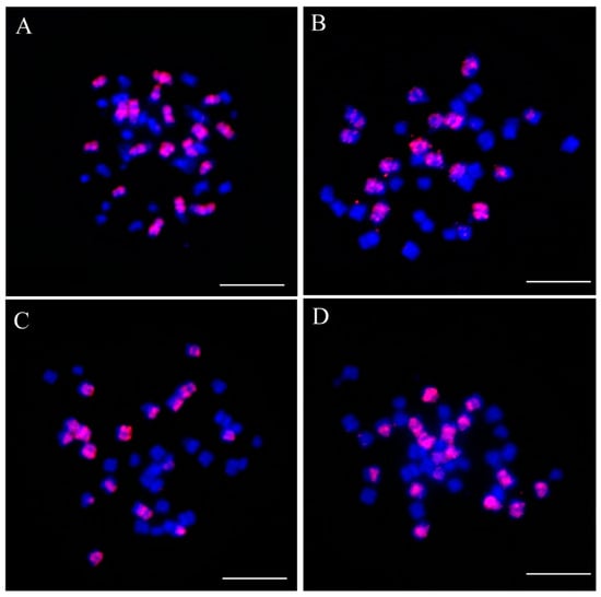 Plants 14 01434 g0a1
