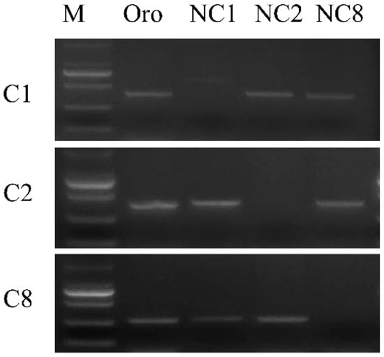 Plants 14 01434 g0a2