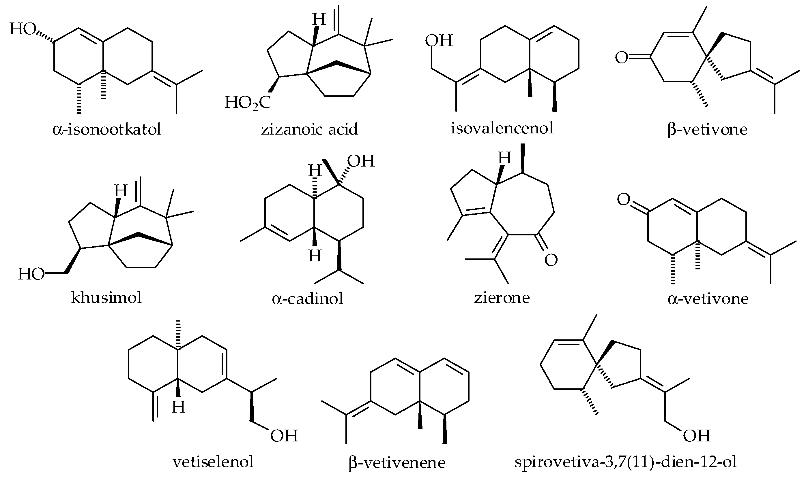 Plants 14 01435 g001 Plants 14 01435 g001
