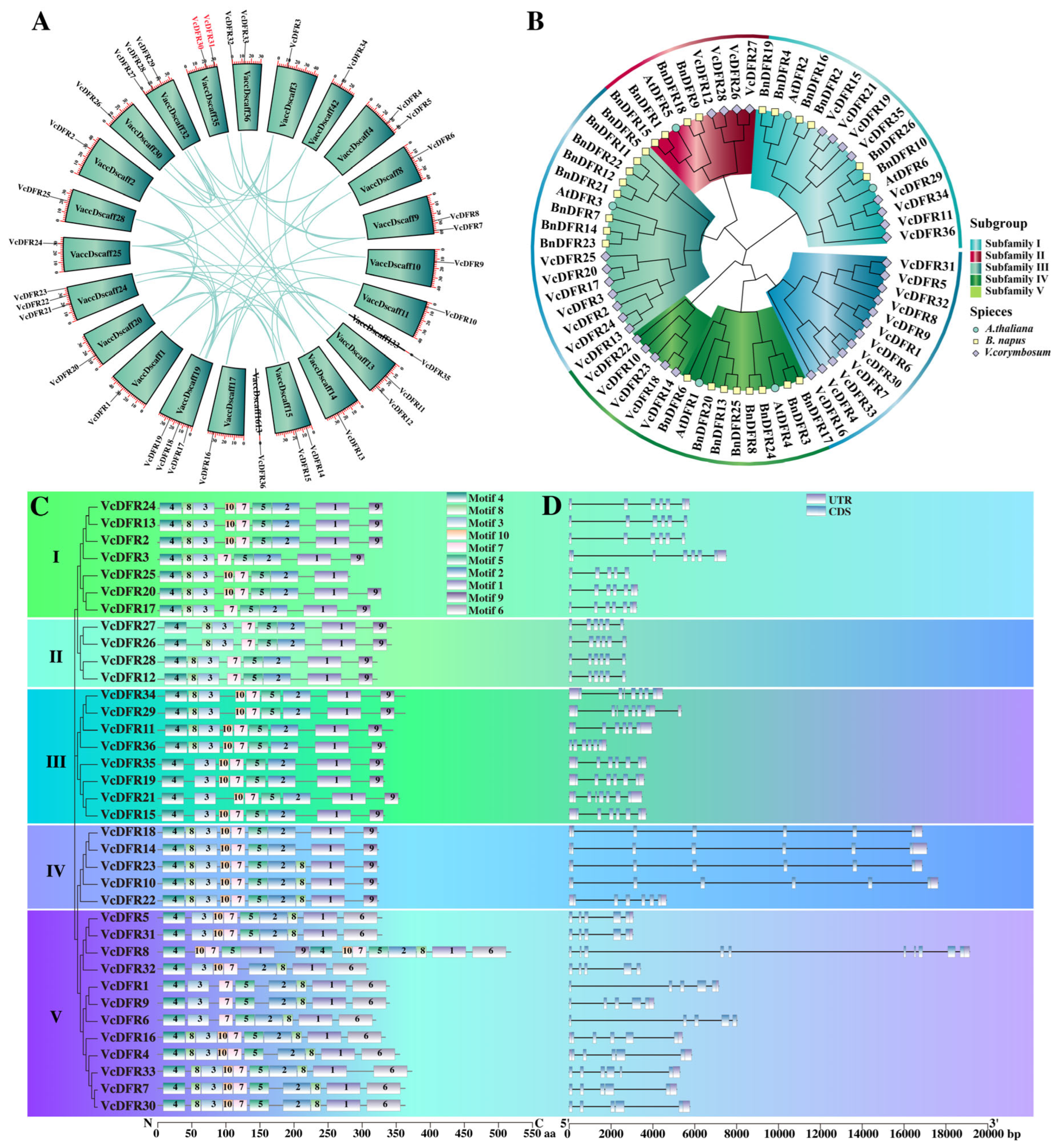 Plants 14 01449 g001