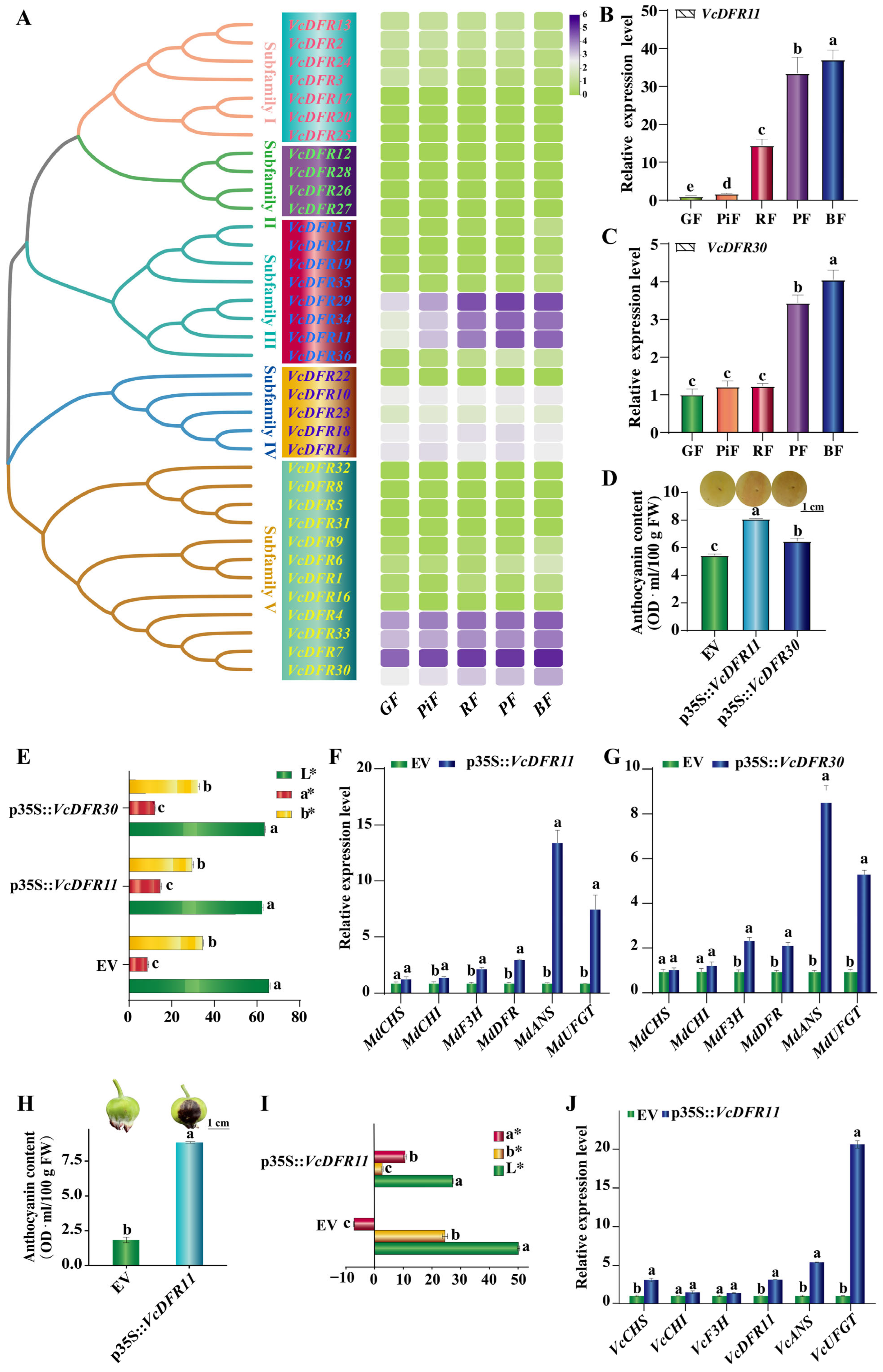 Plants 14 01449 g004