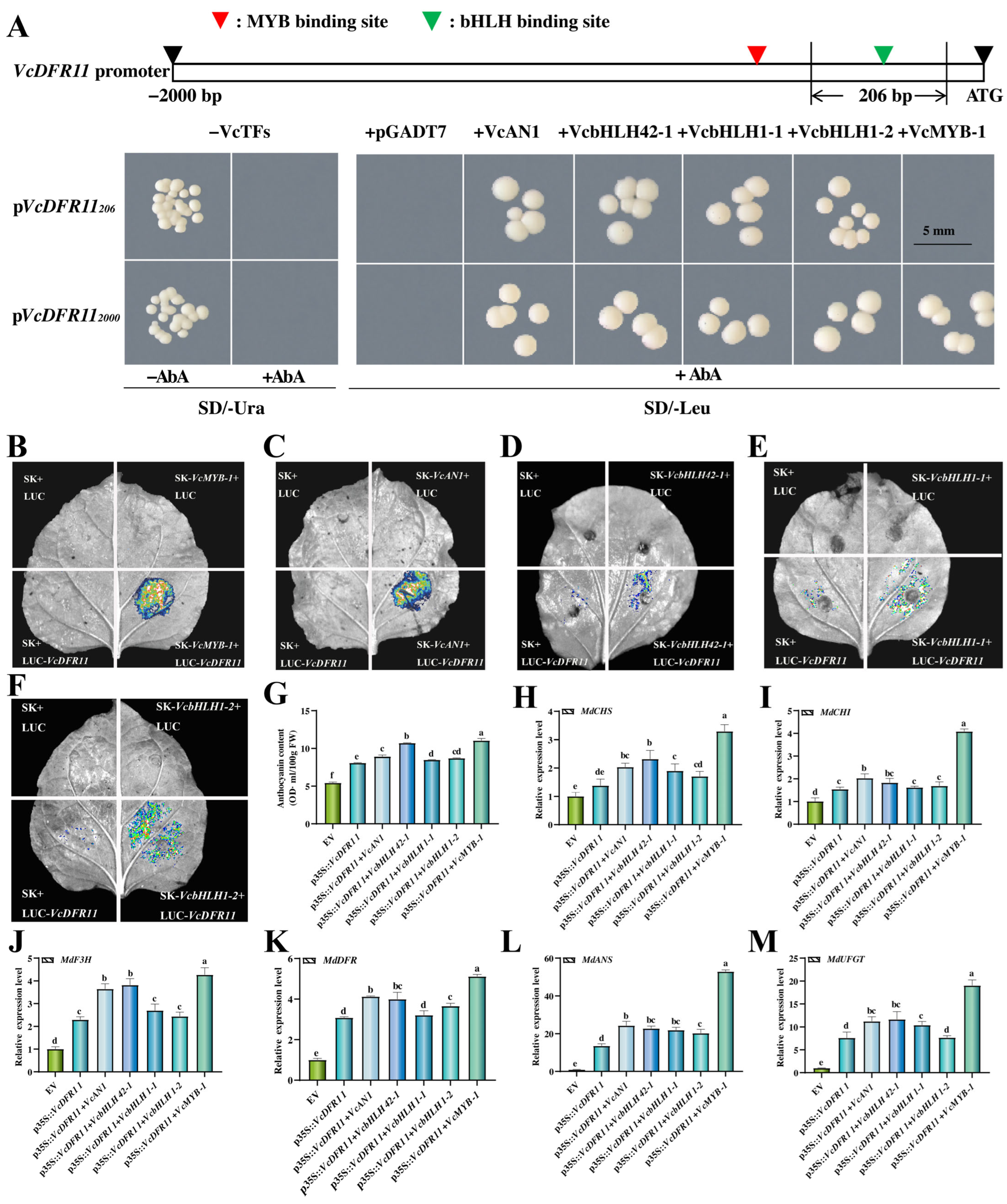 Plants 14 01449 g005