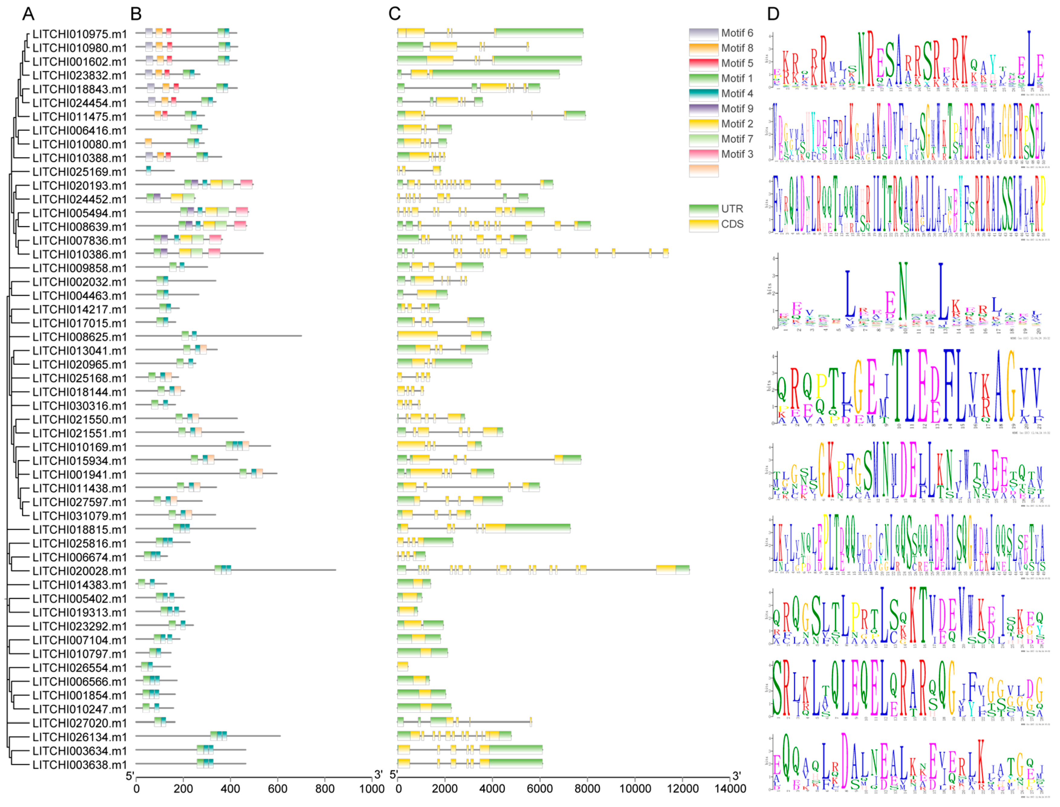 Plants 14 01453 g002