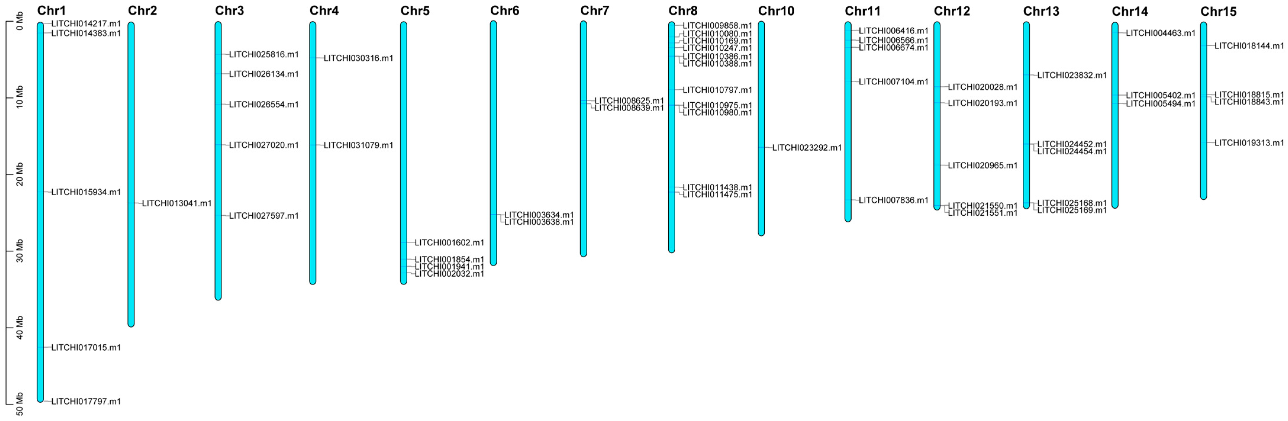 Plants 14 01453 g003
