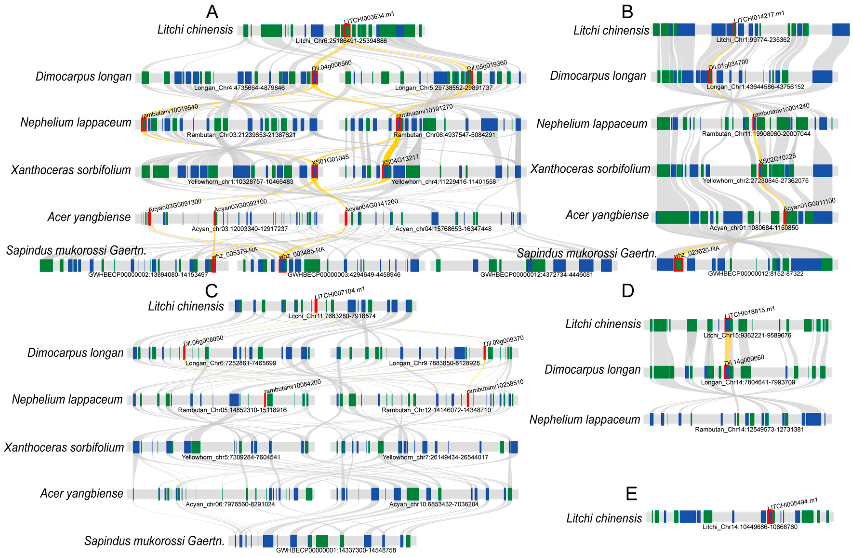 Plants 14 01453 g006