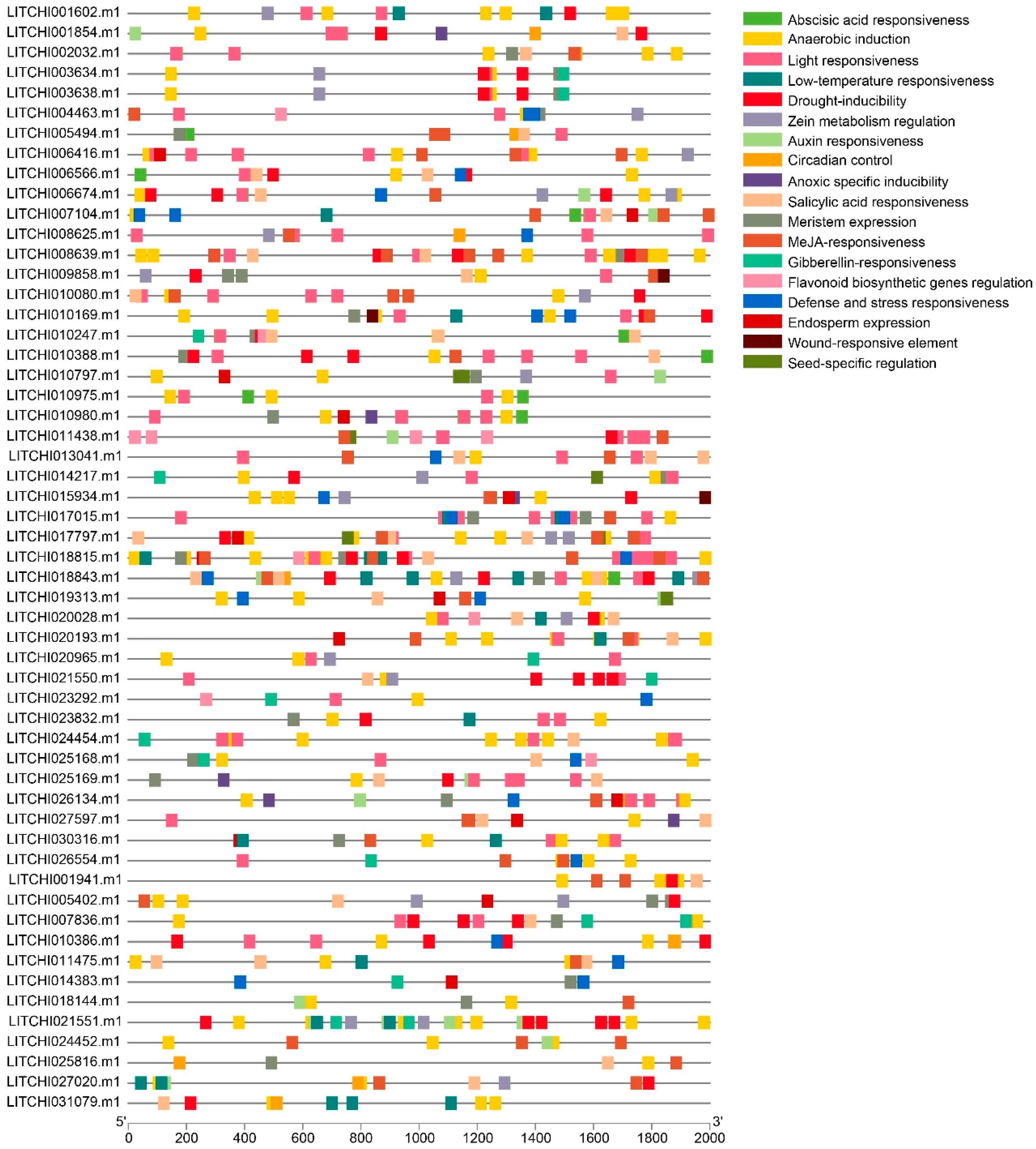 Plants 14 01453 g007