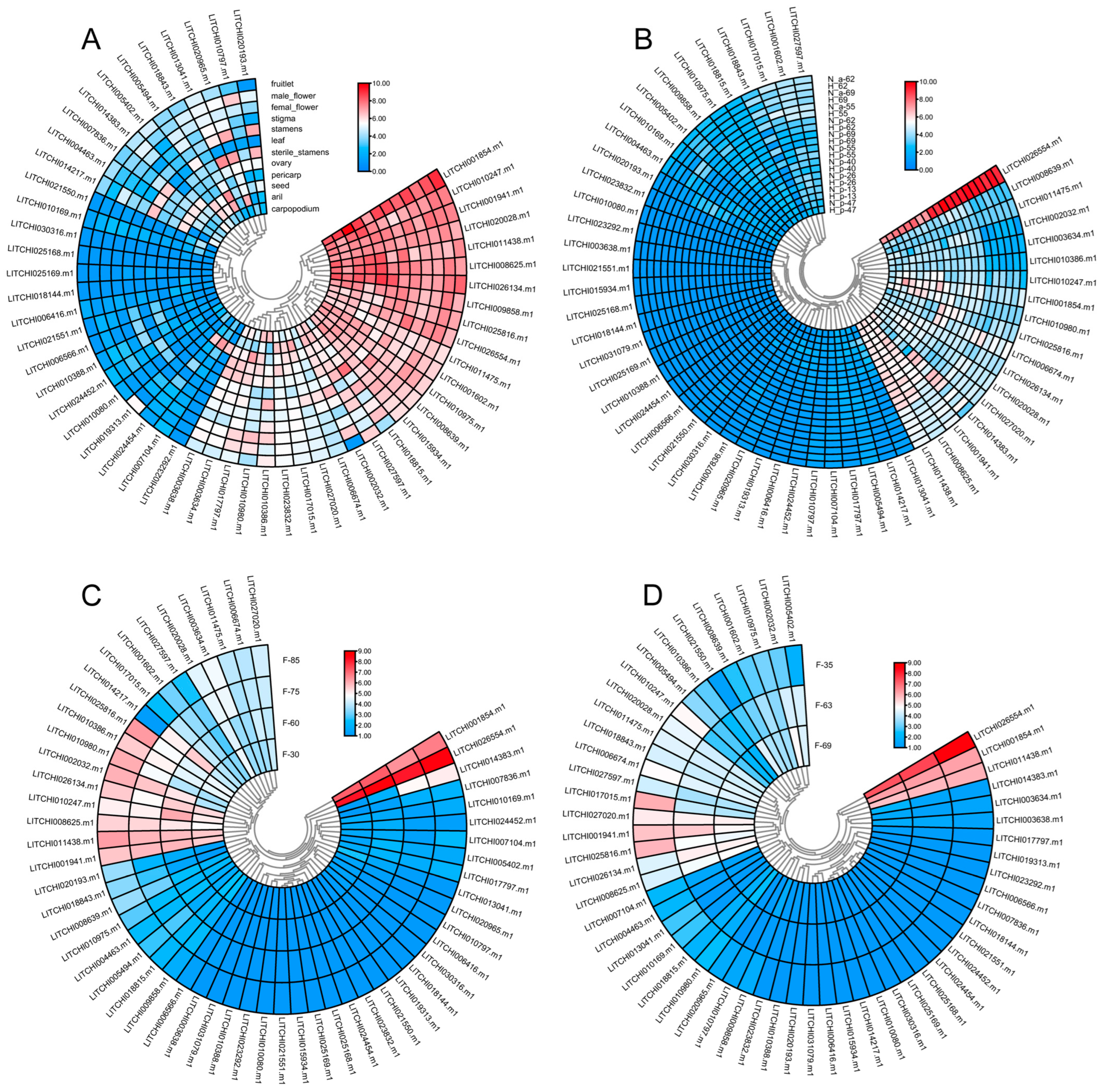 Plants 14 01453 g008