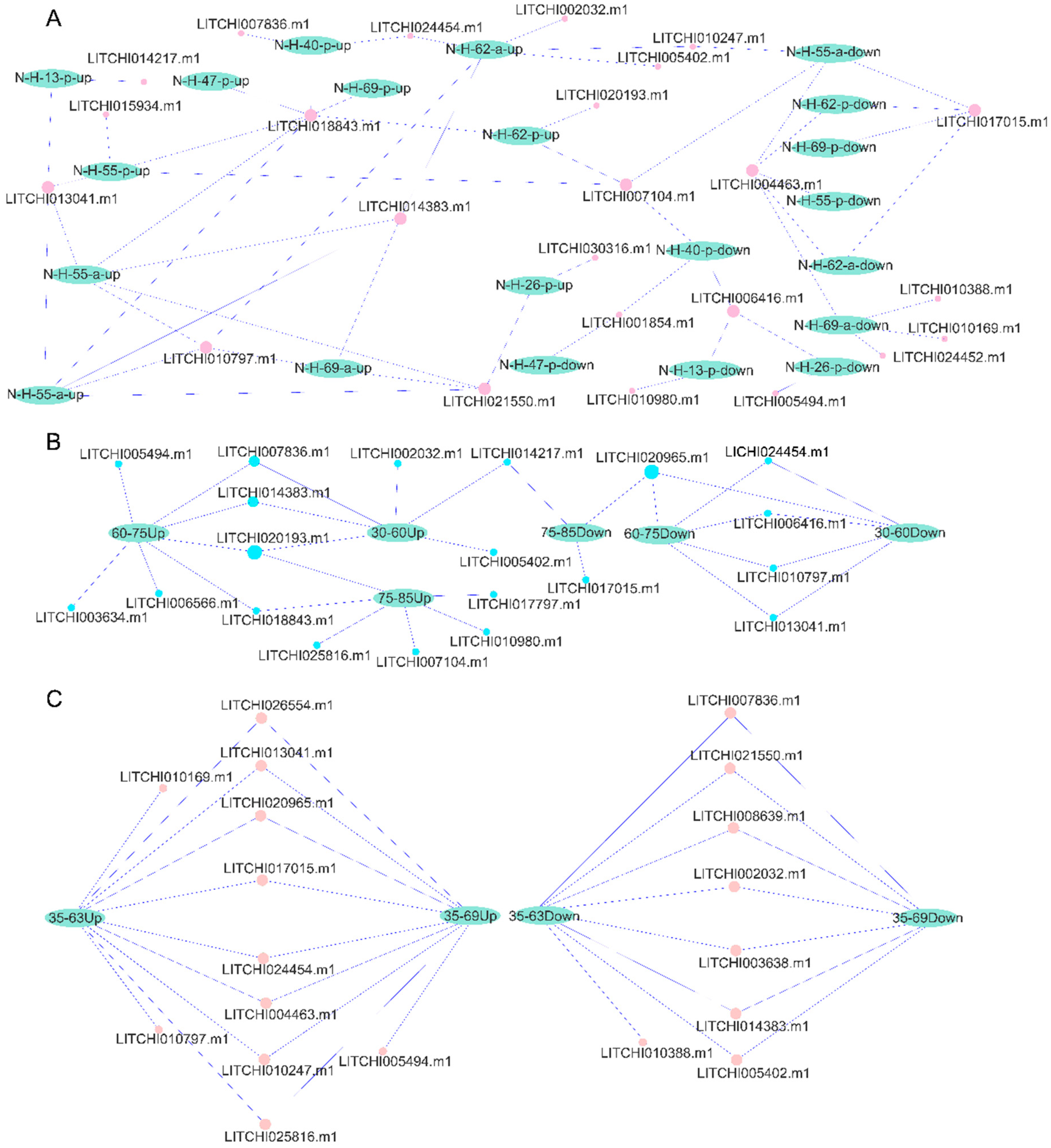 Plants 14 01453 g009
