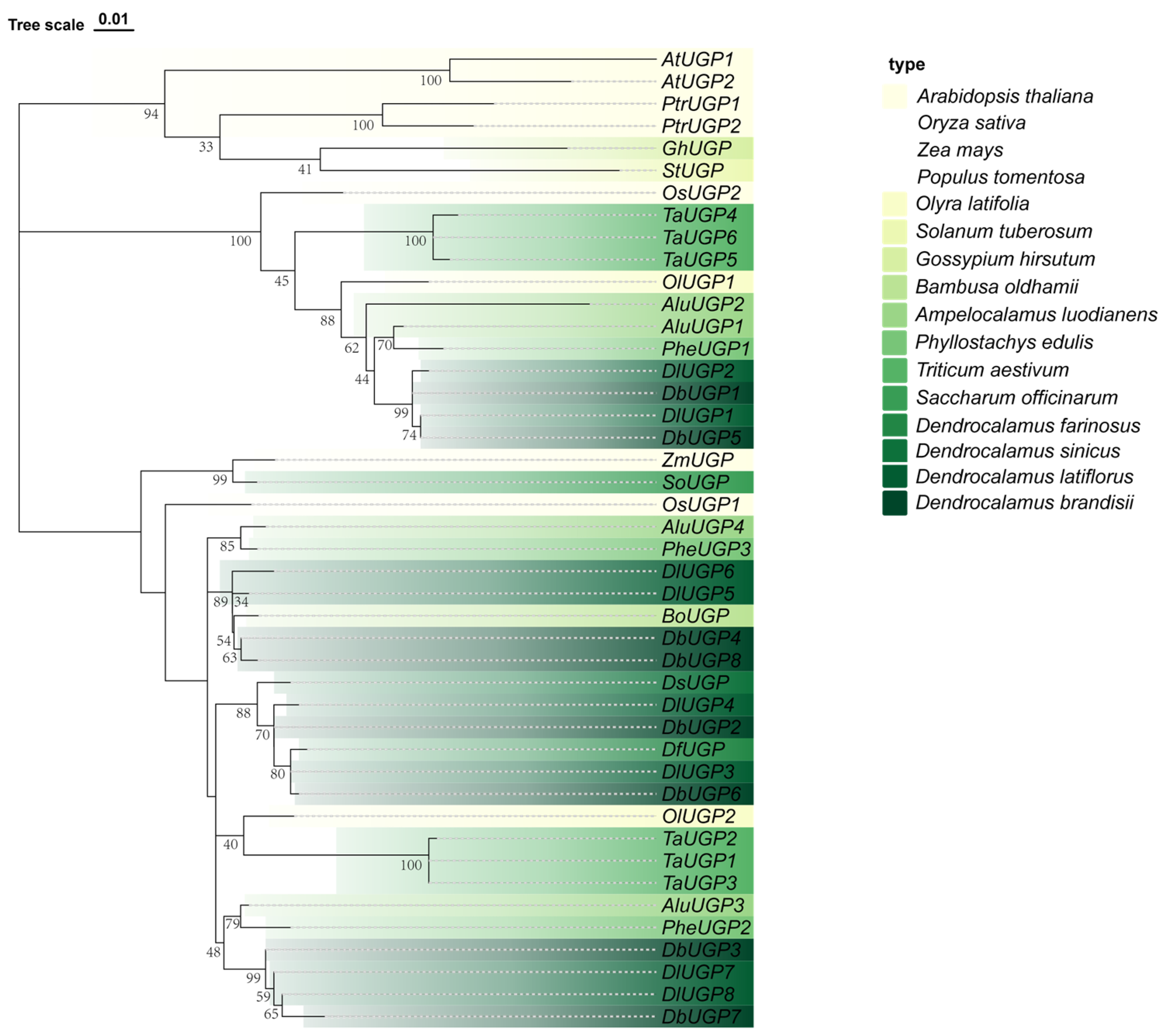 Plants 14 01458 g002