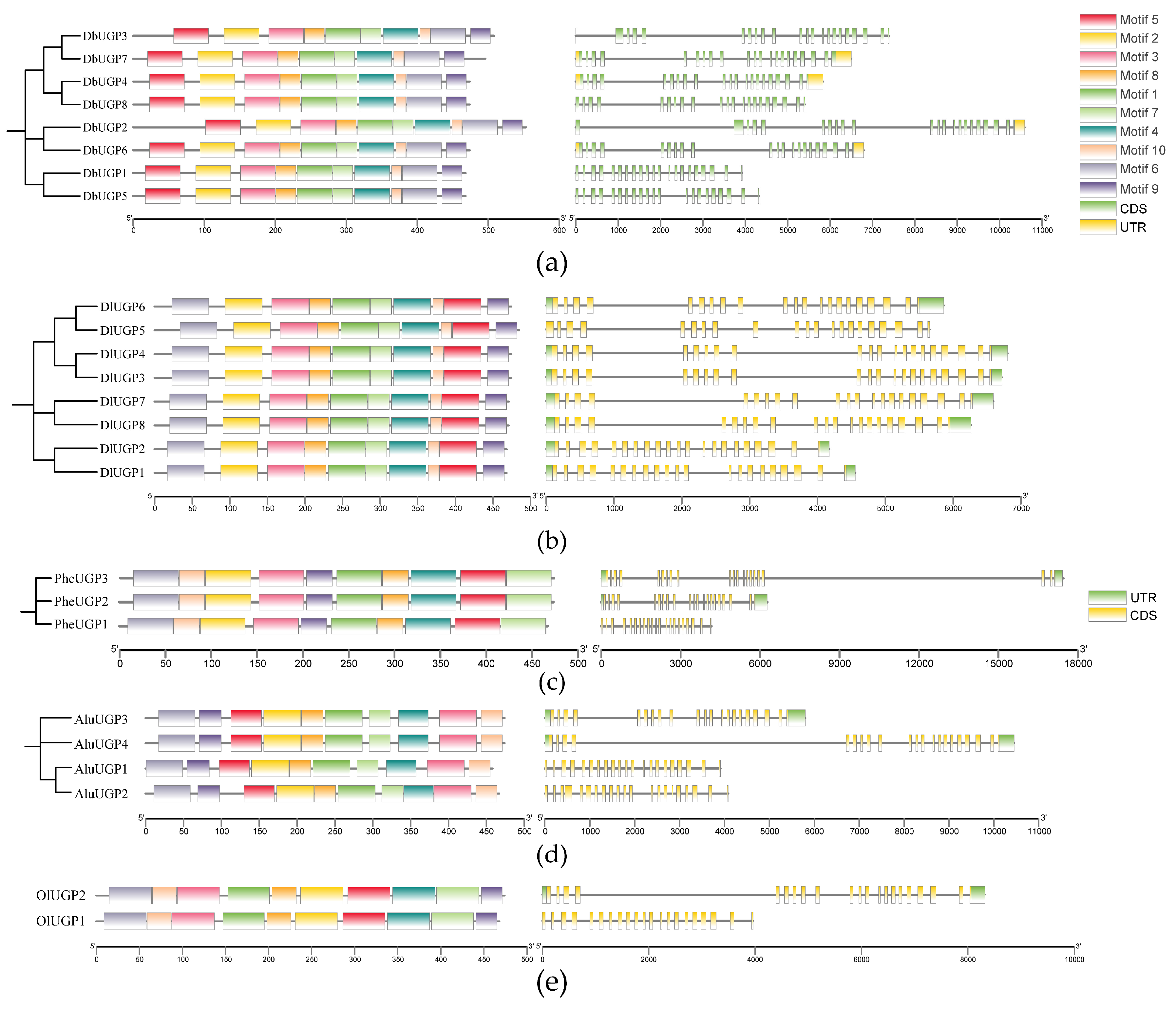 Plants 14 01458 g003