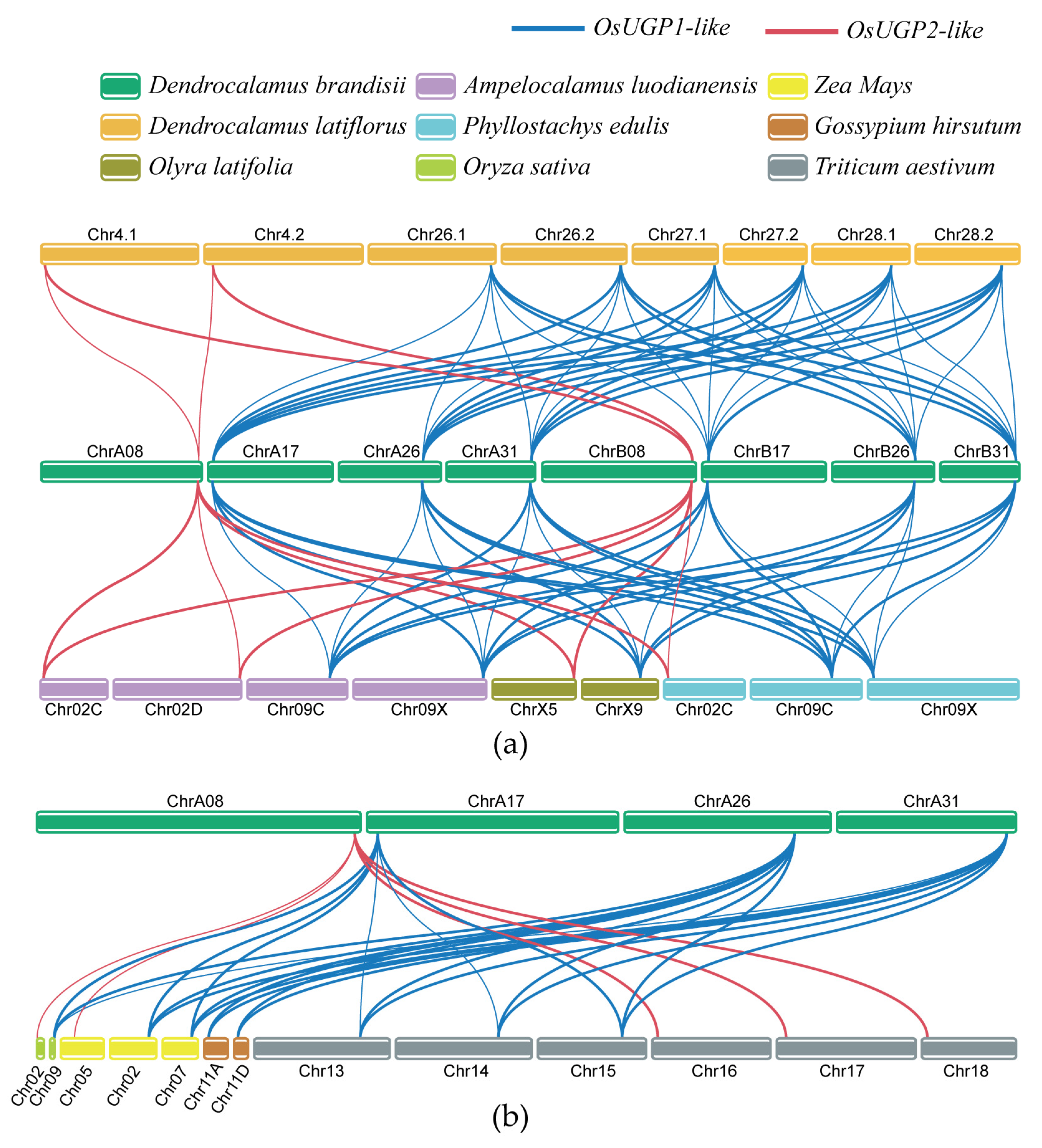 Plants 14 01458 g006