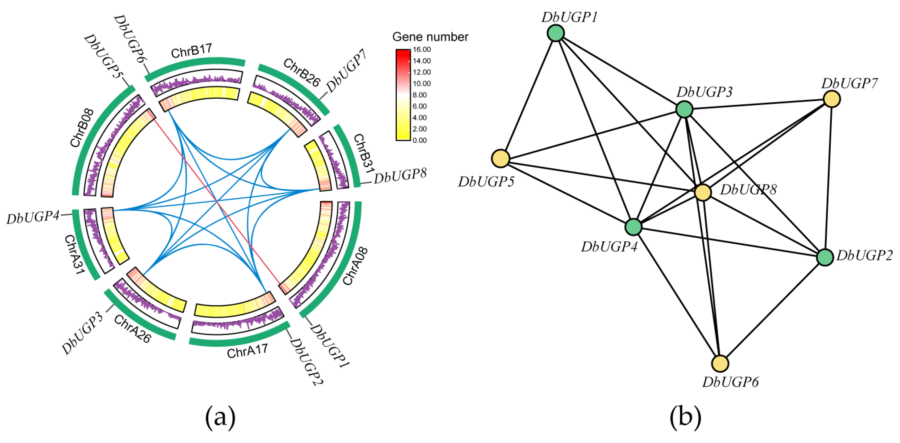 Plants 14 01458 g007