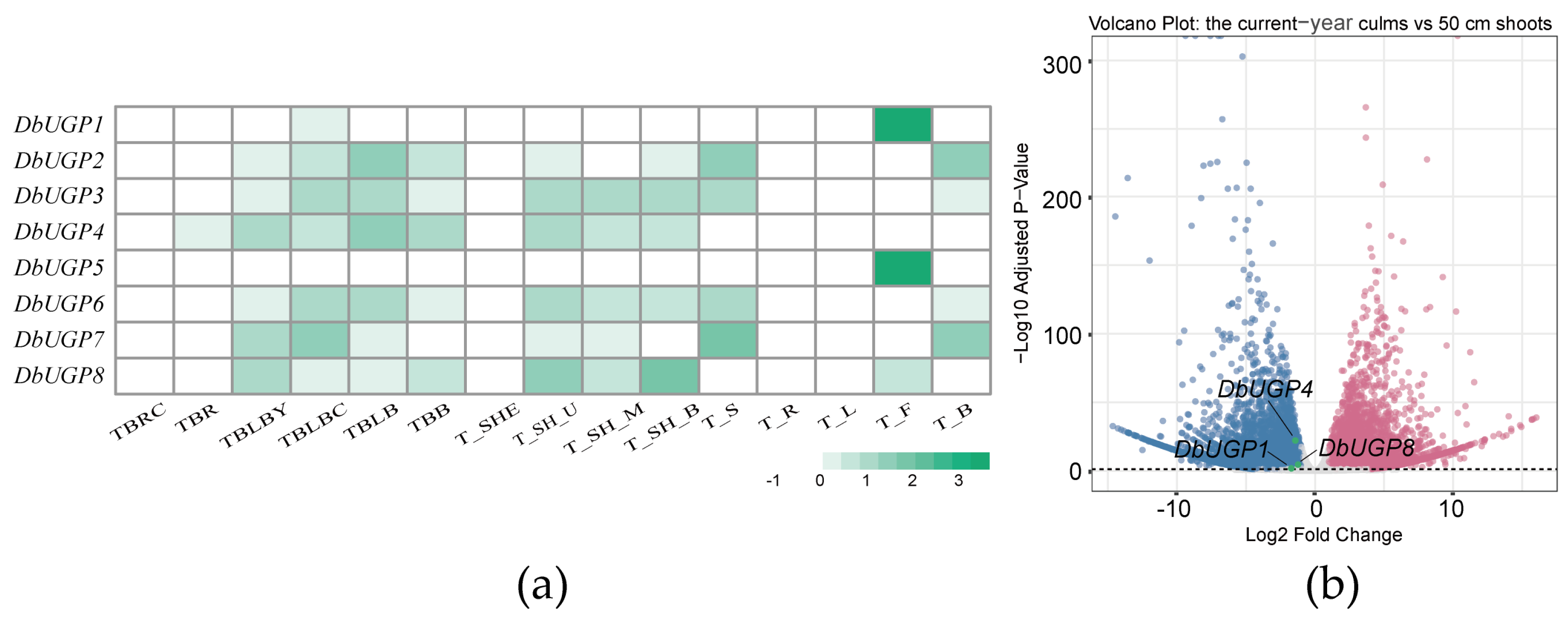 Plants 14 01458 g008