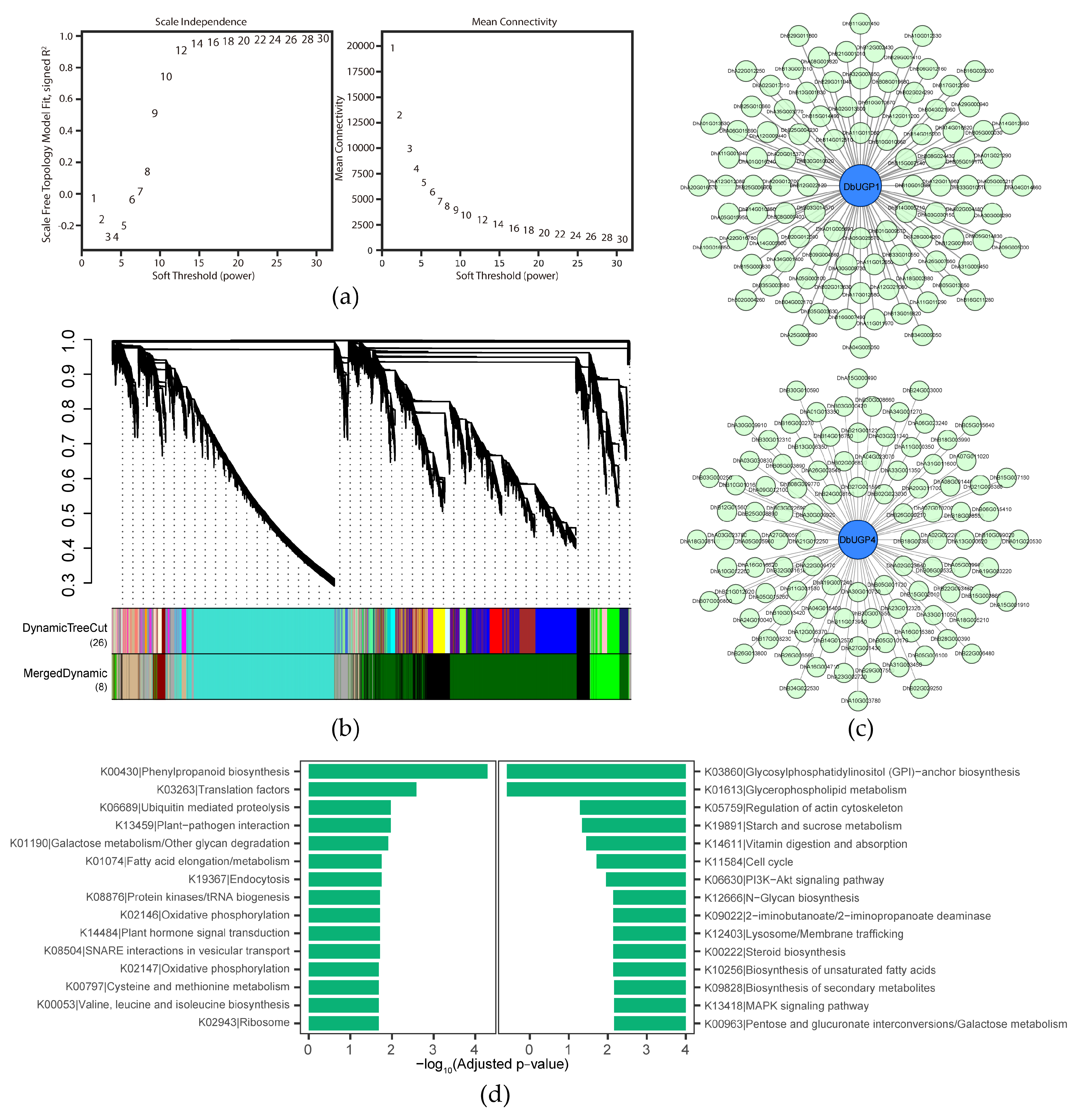 Plants 14 01458 g009