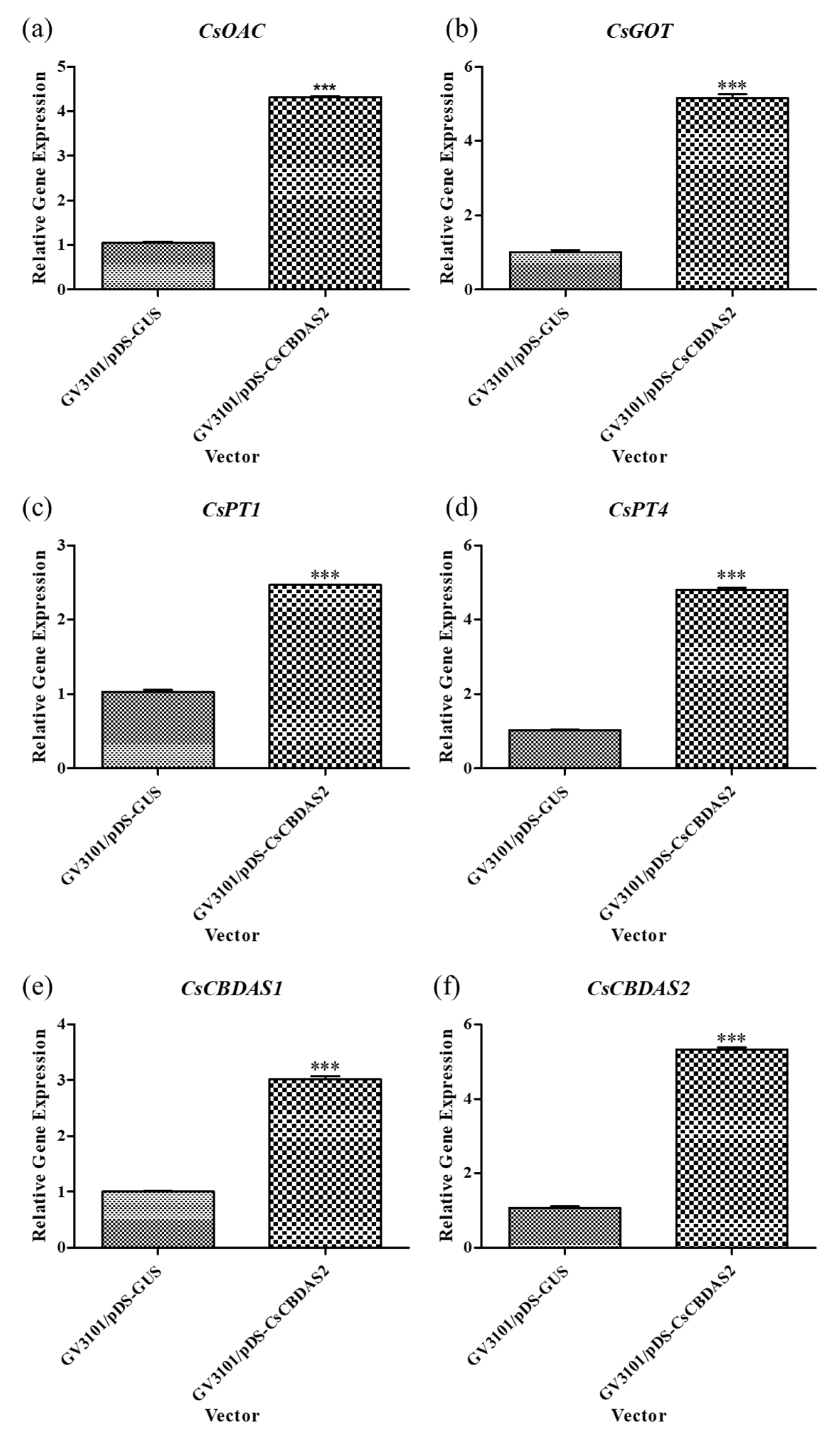 Plants 14 01460 g004
