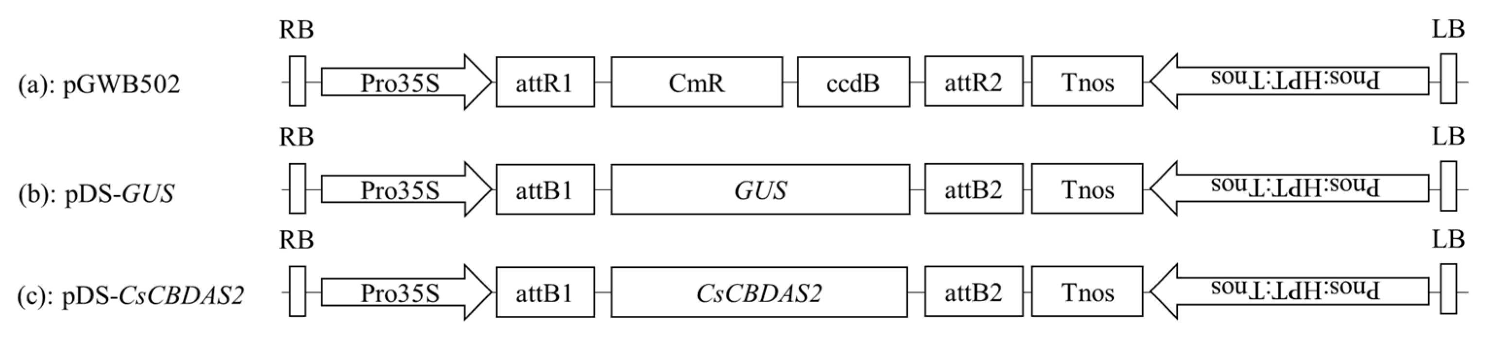 Plants 14 01460 g007