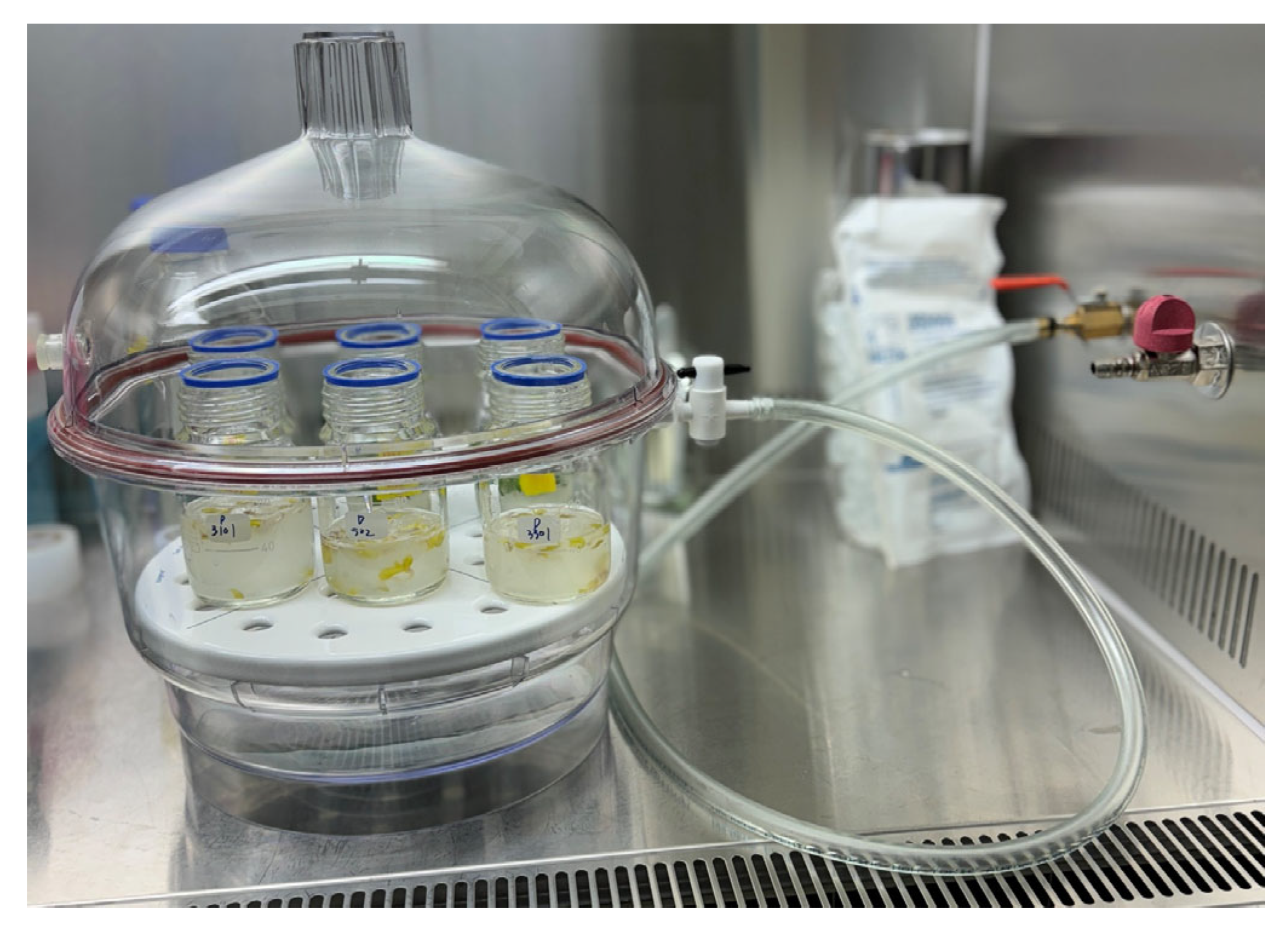 Plants 14 01460 g008