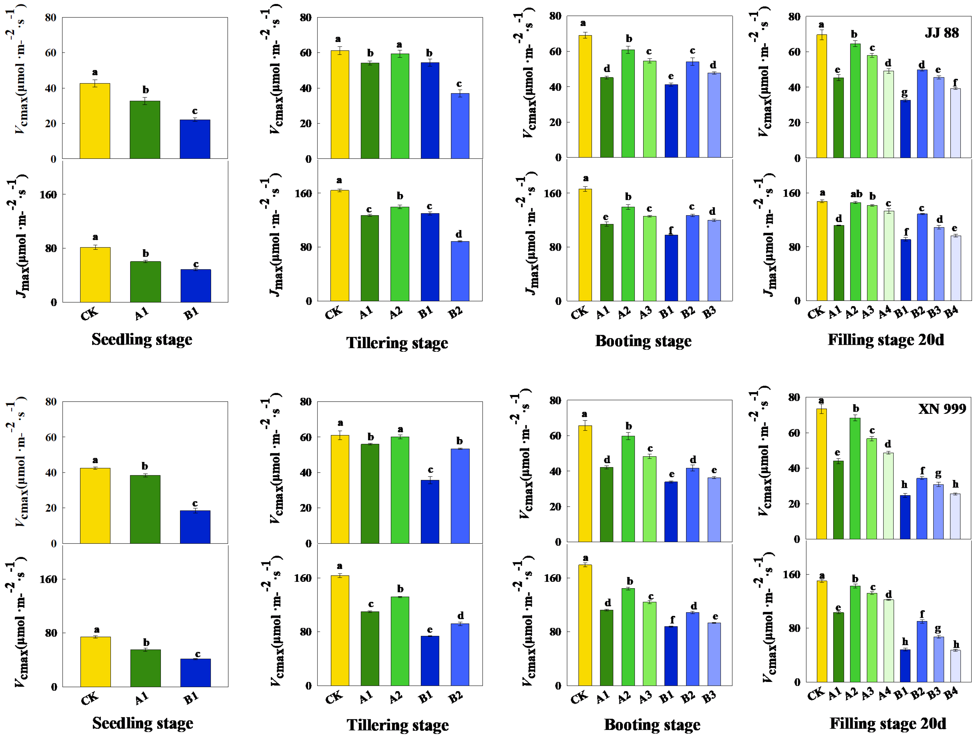 Response of Photosynthesis and Chlorophyll Fluorescence to Nitrogen ...