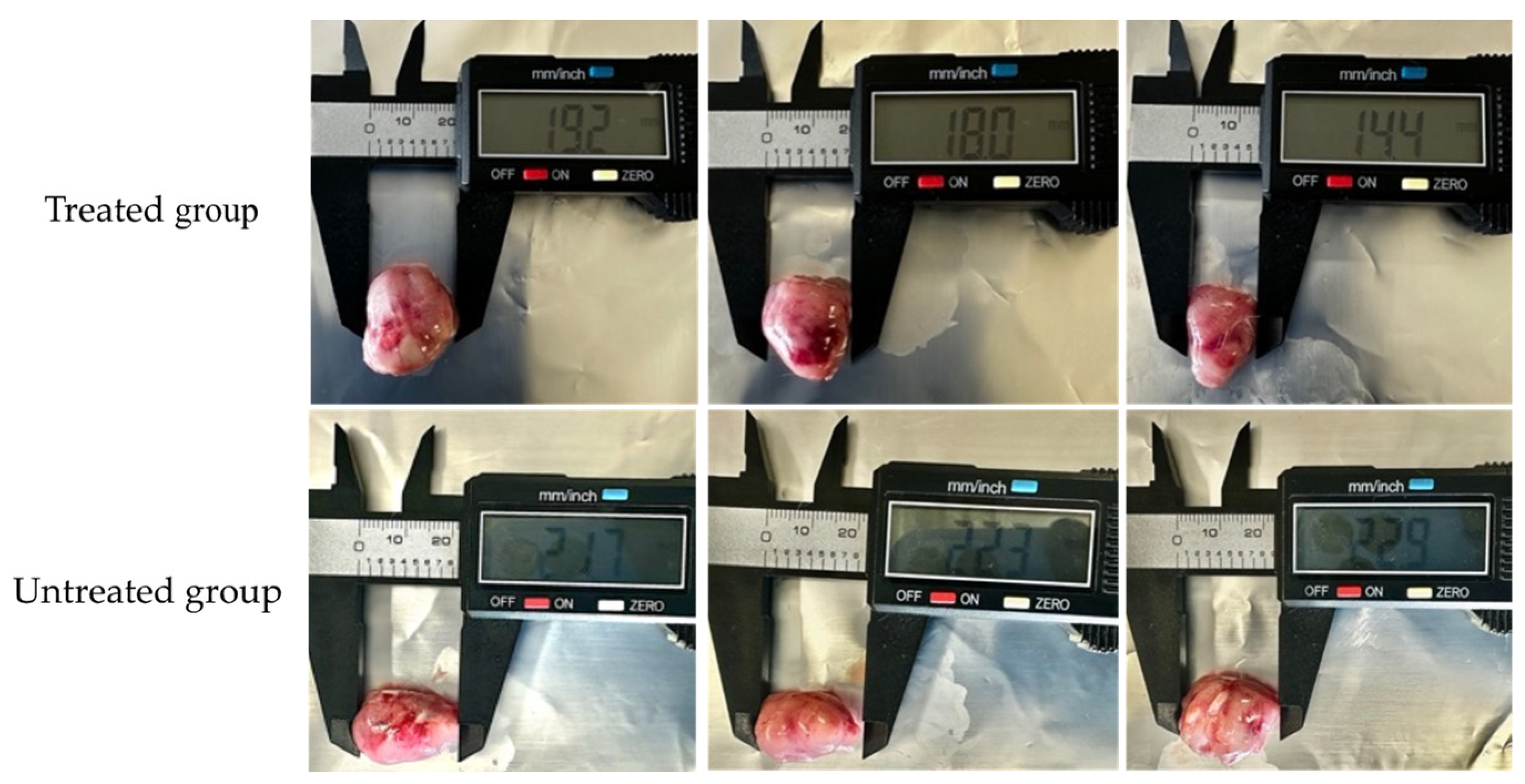 Plants 14 01474 g004