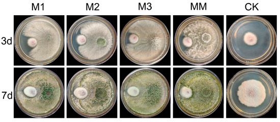 Plants 14 01480 g0a1