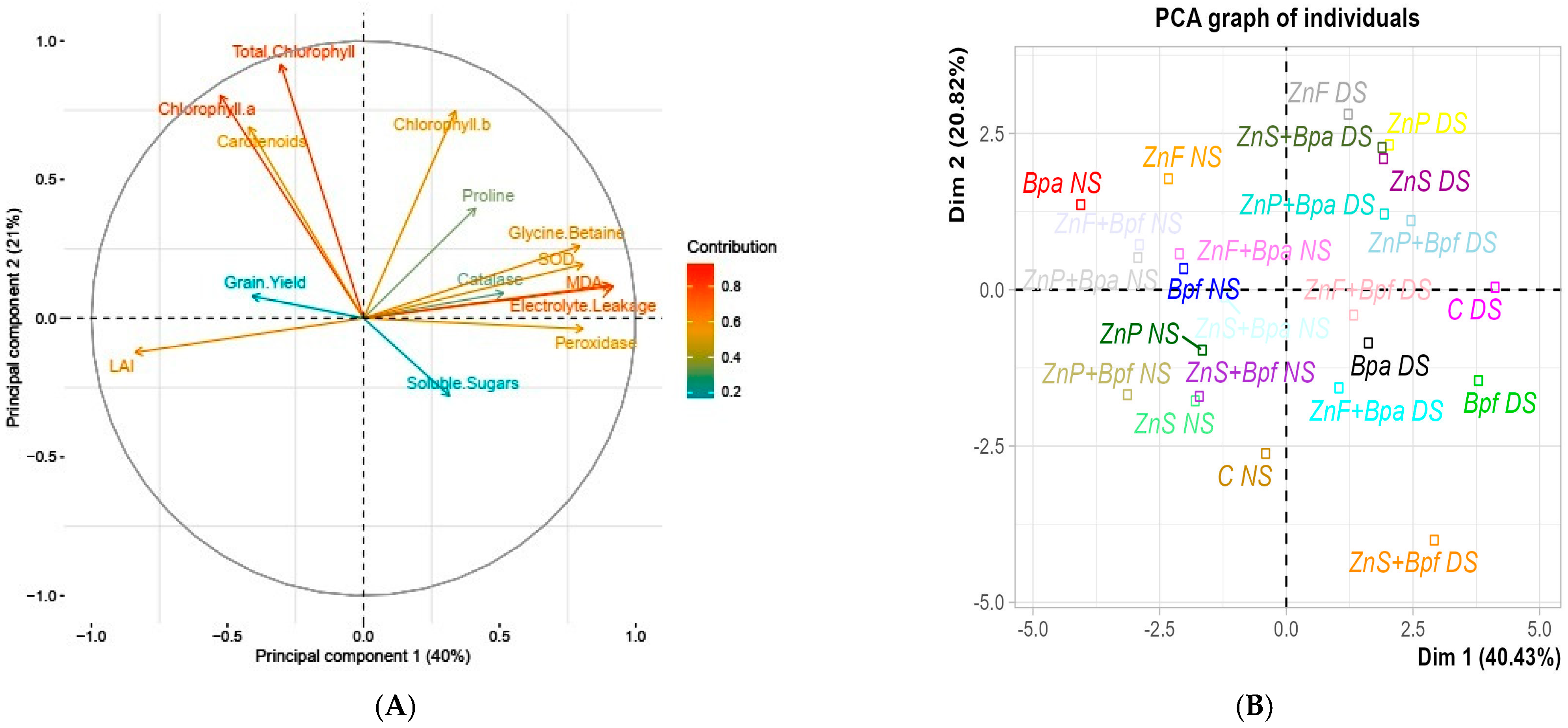 Plants 14 01483 g005