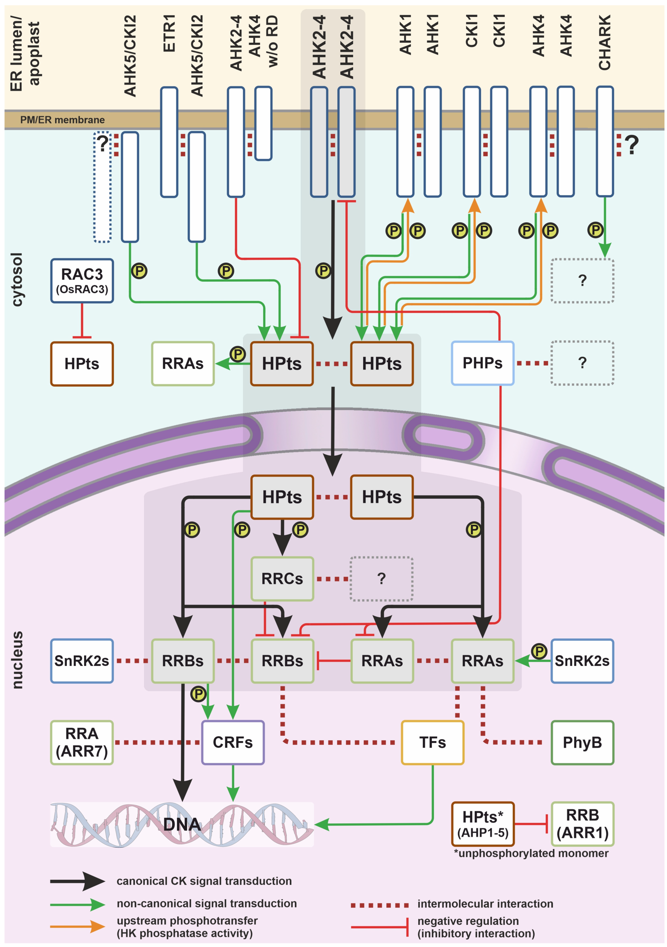 Plants 14 01485 g001