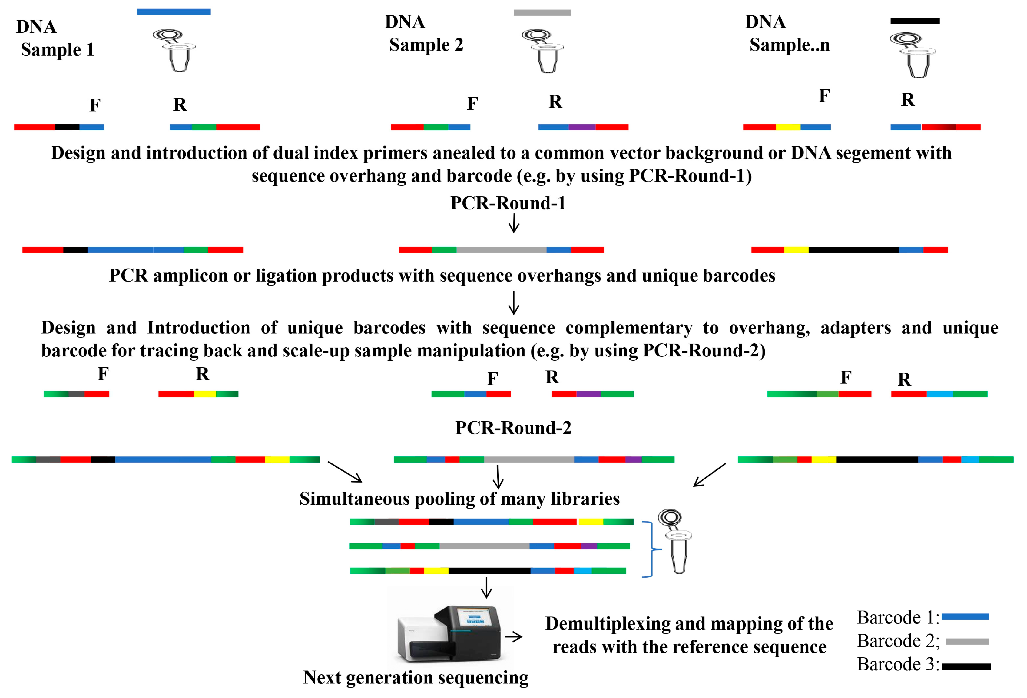 Plants 14 01492 g004
