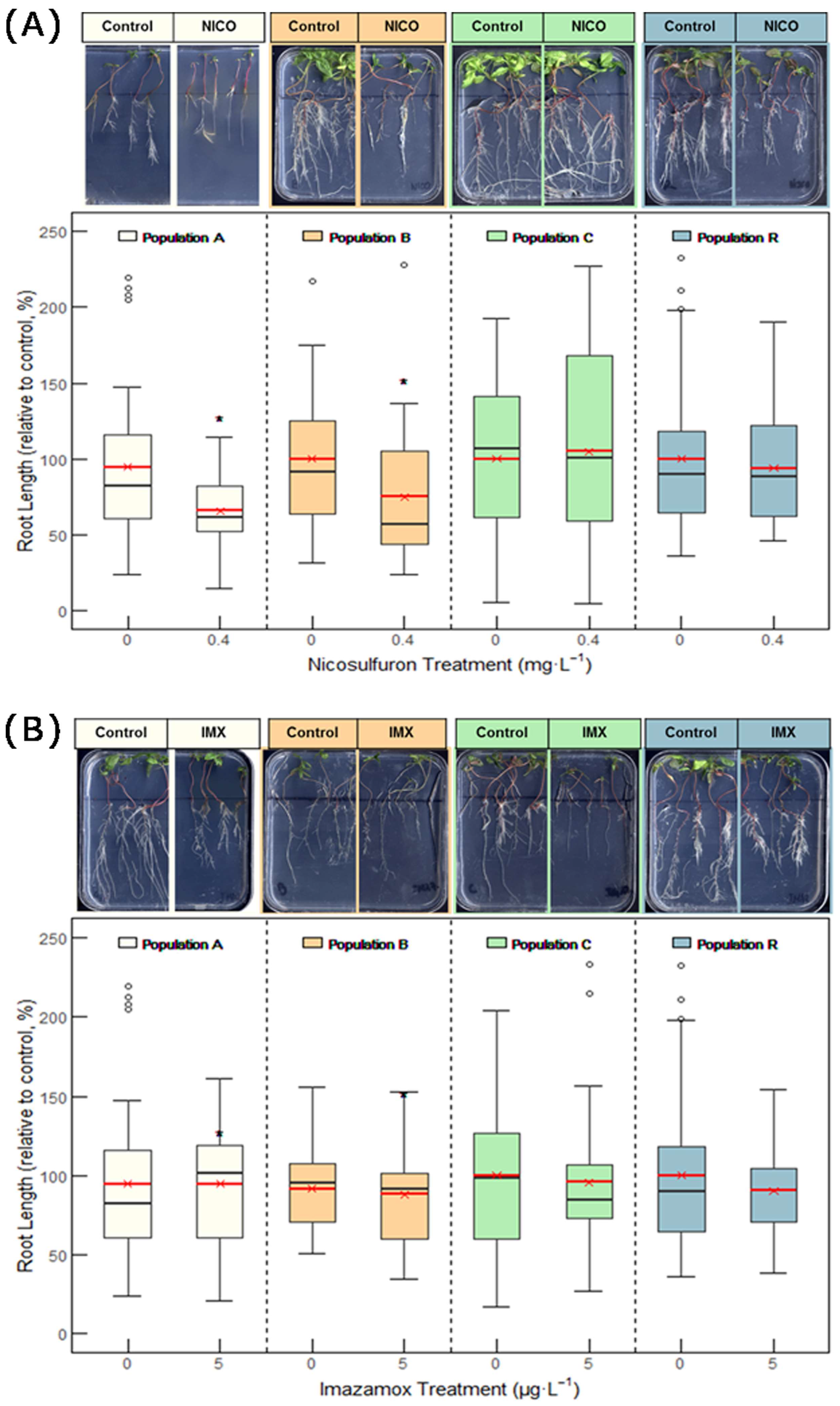 Plants 14 01505 g005