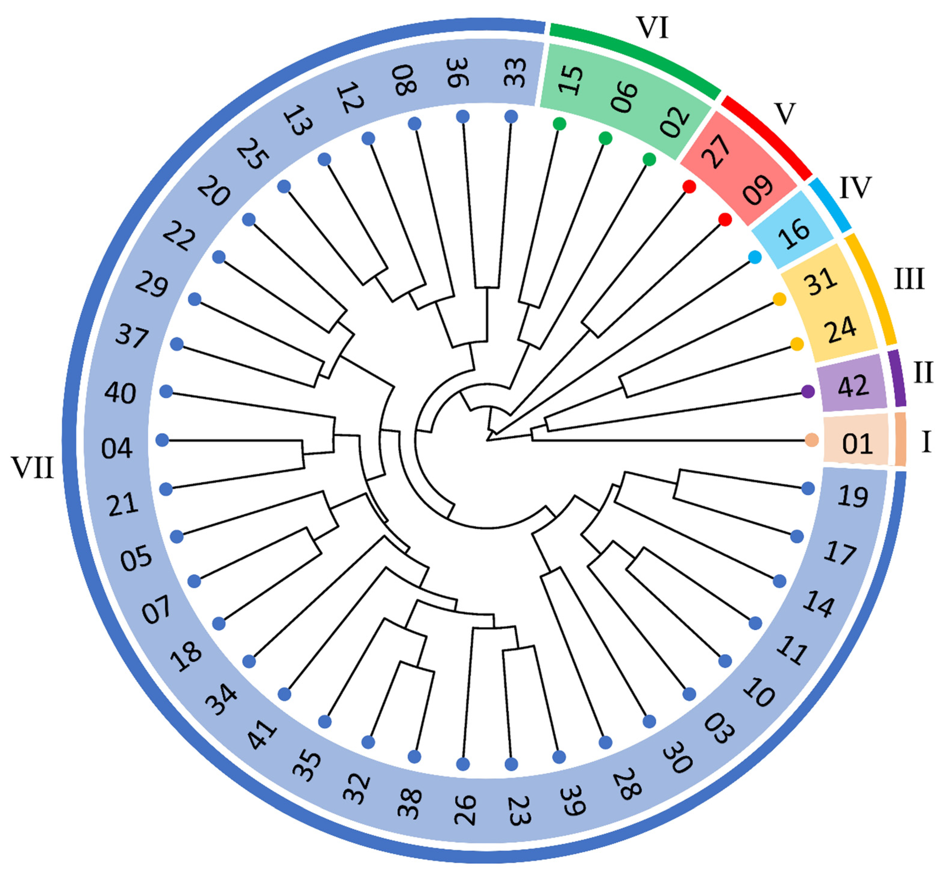 Plants 14 01509 g001