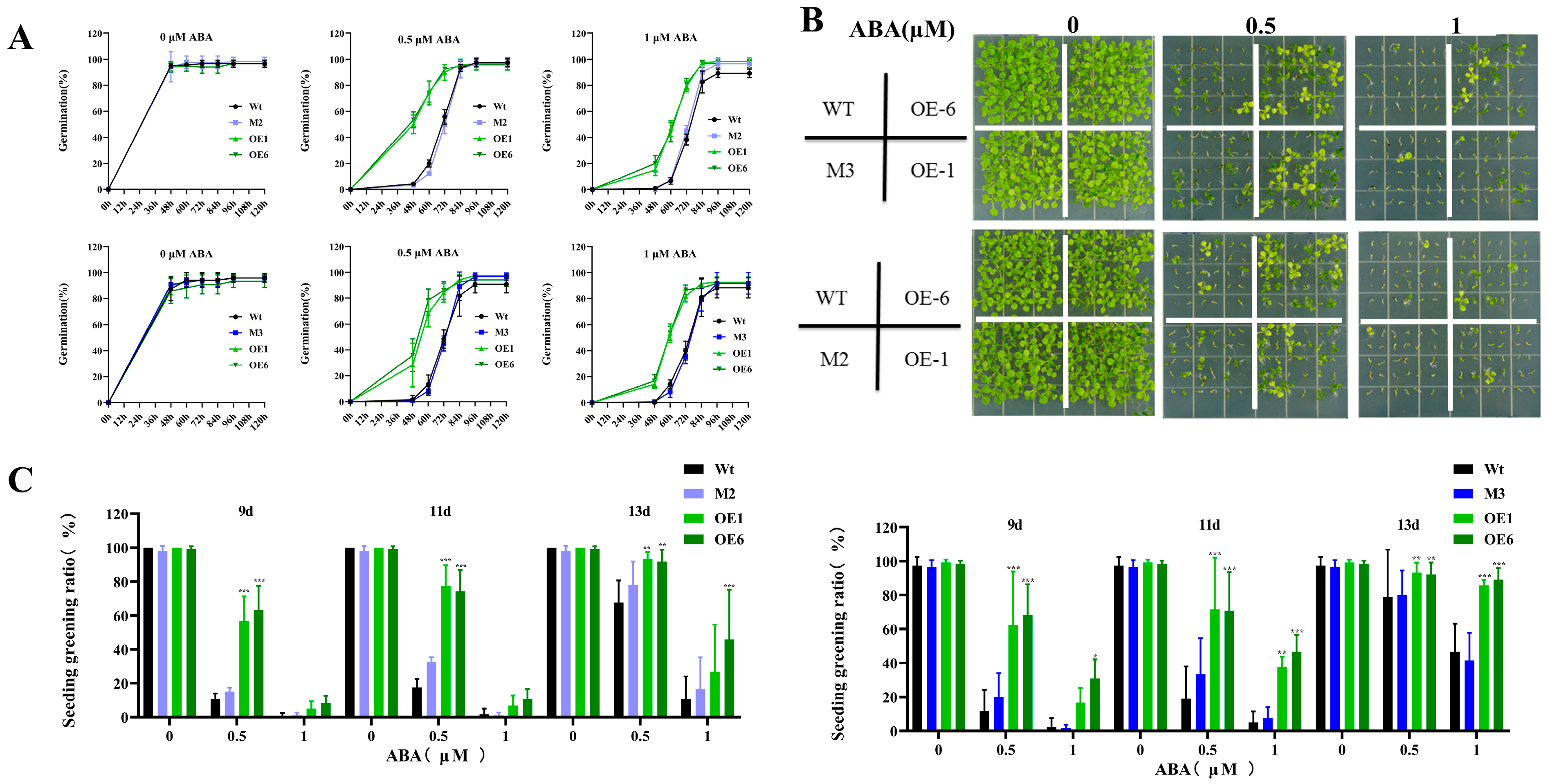 Plants 14 01514 g002