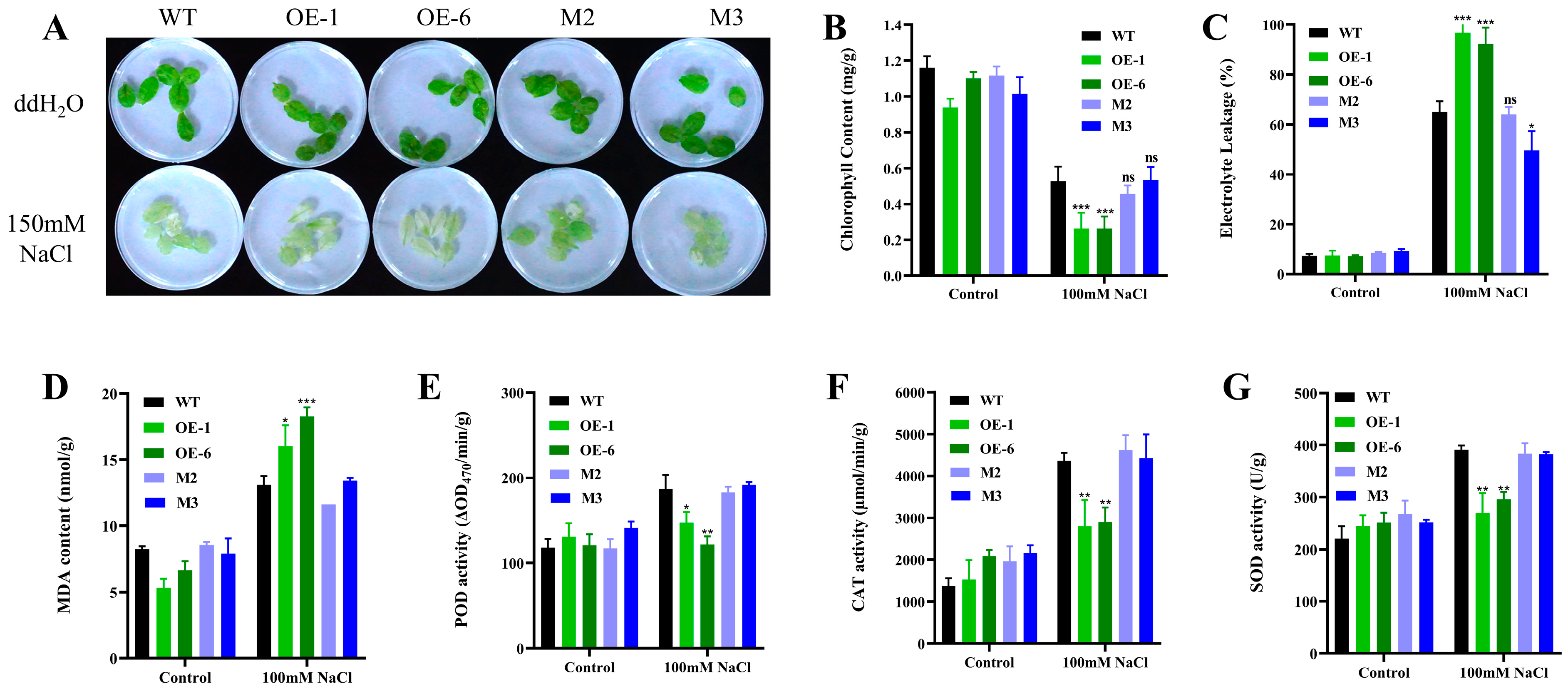 Plants 14 01514 g004