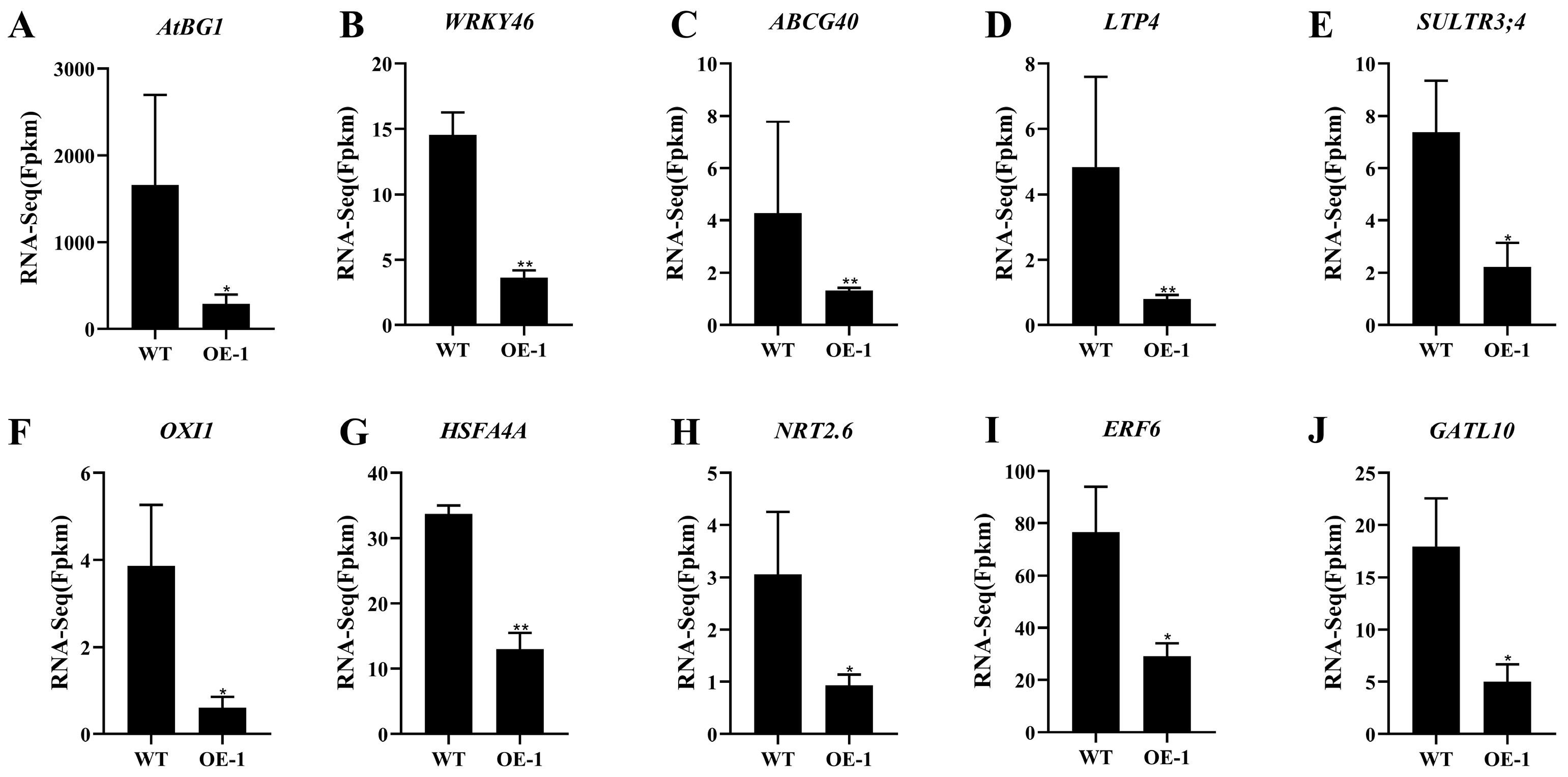Plants 14 01514 g006