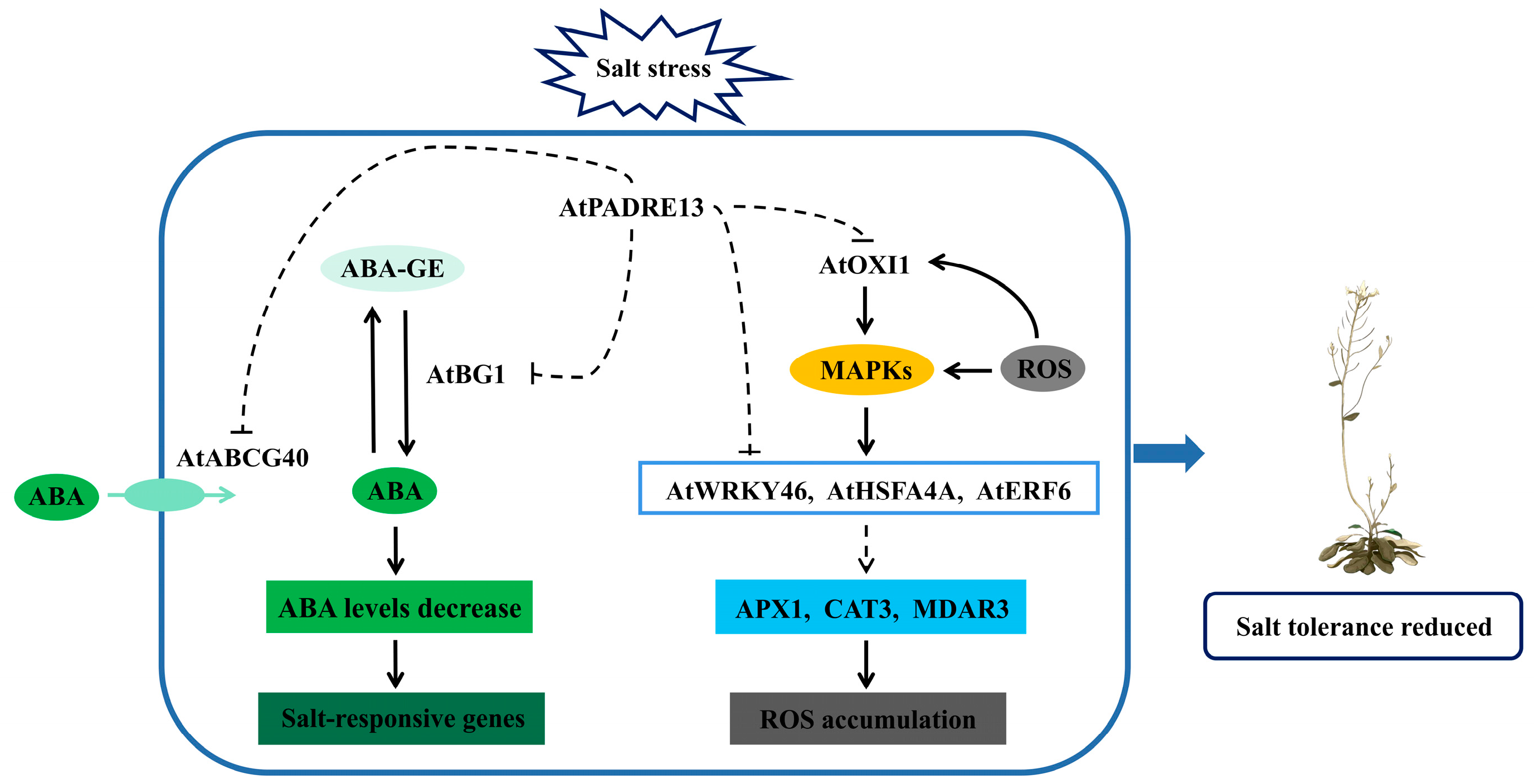 Plants 14 01514 g007