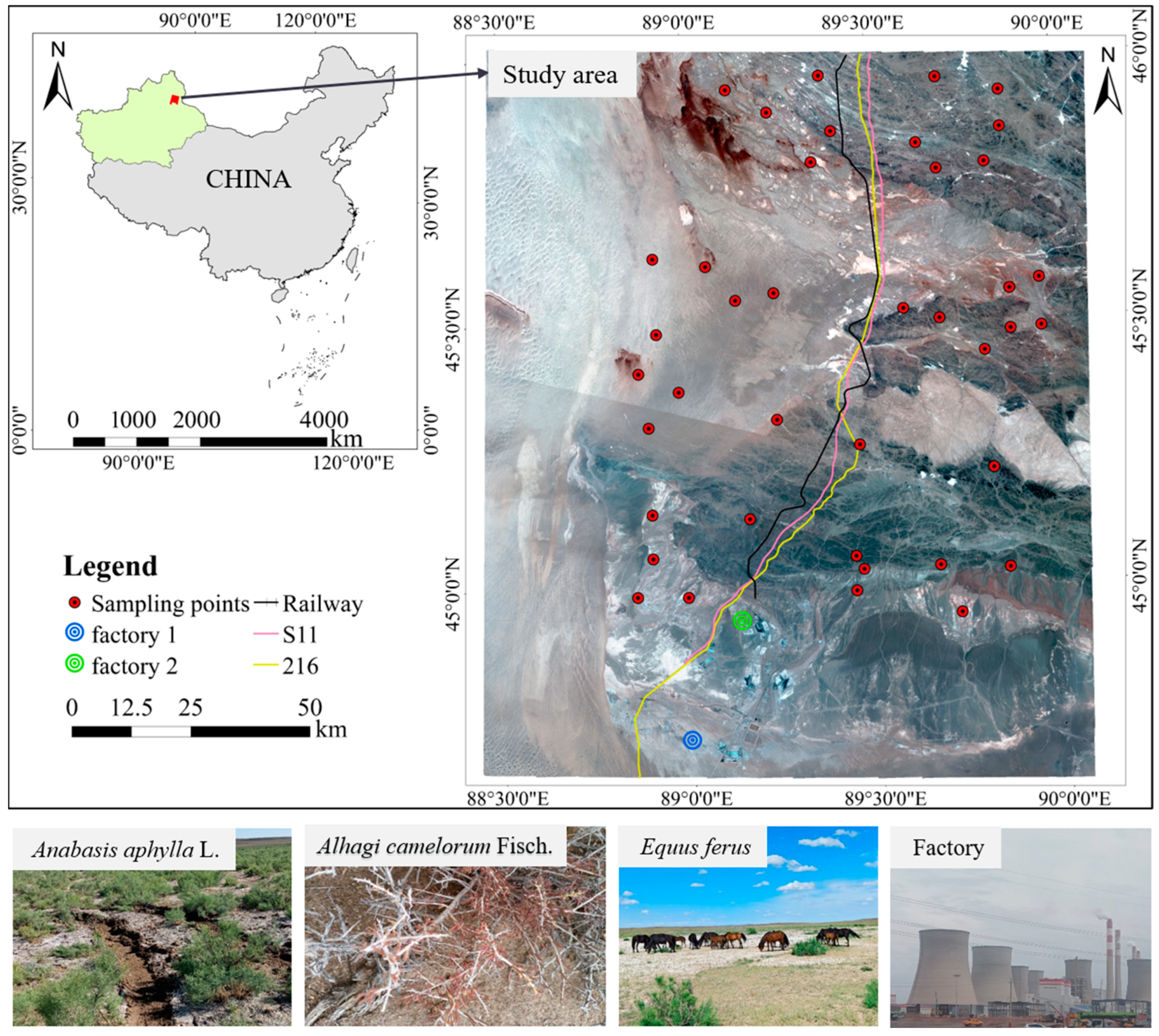 Plants 14 01521 g006