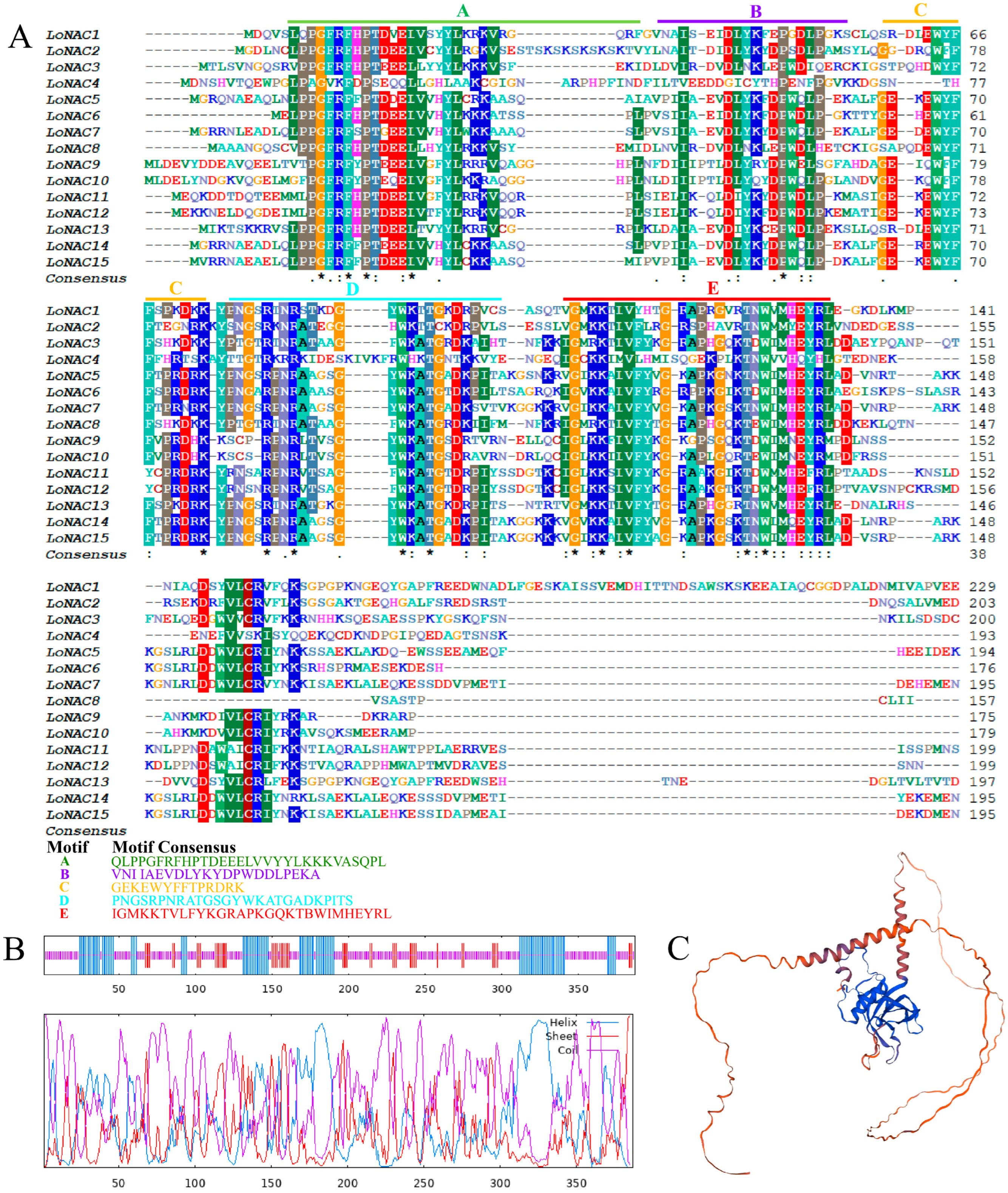 Plants 14 01527 g002