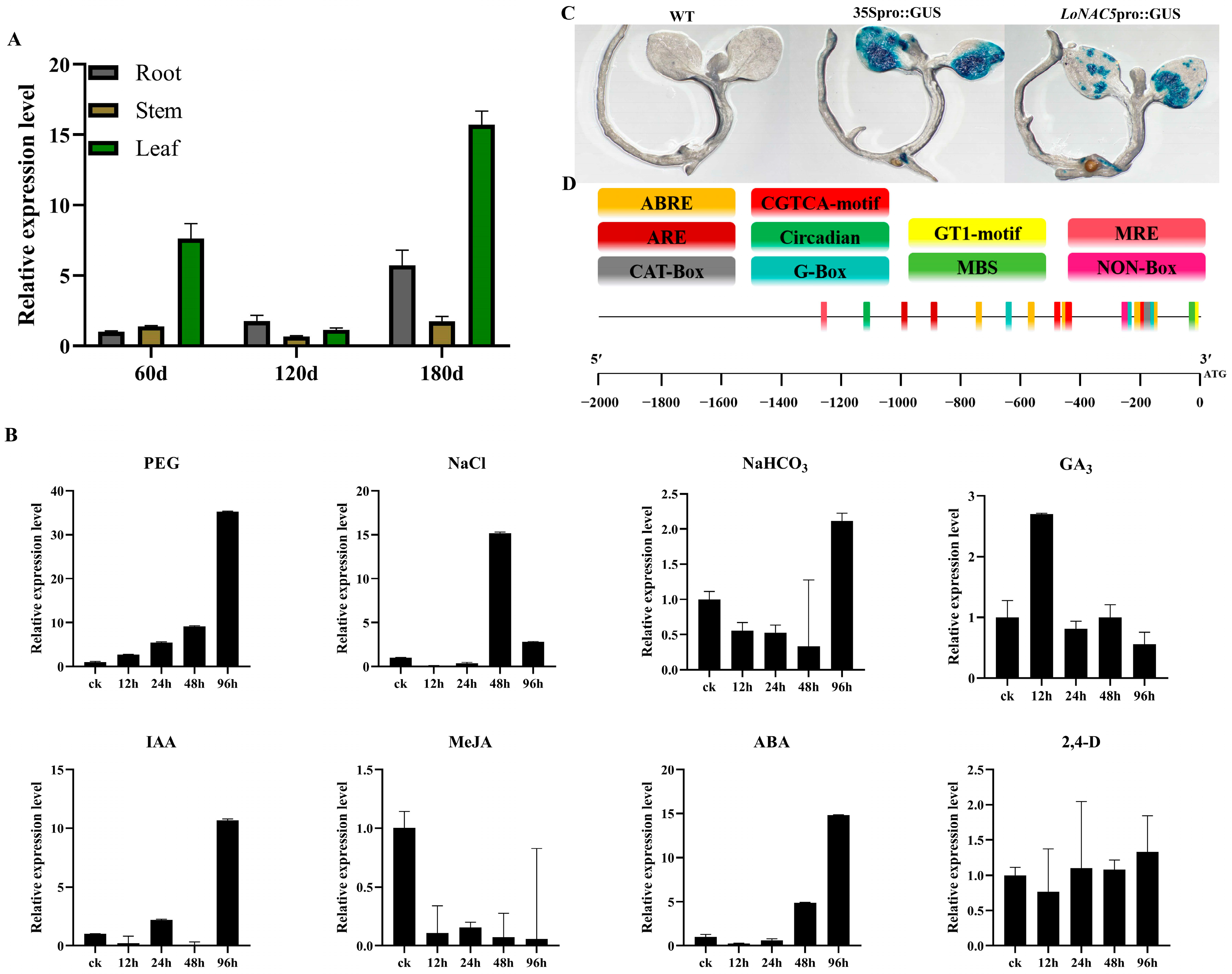Plants 14 01527 g004