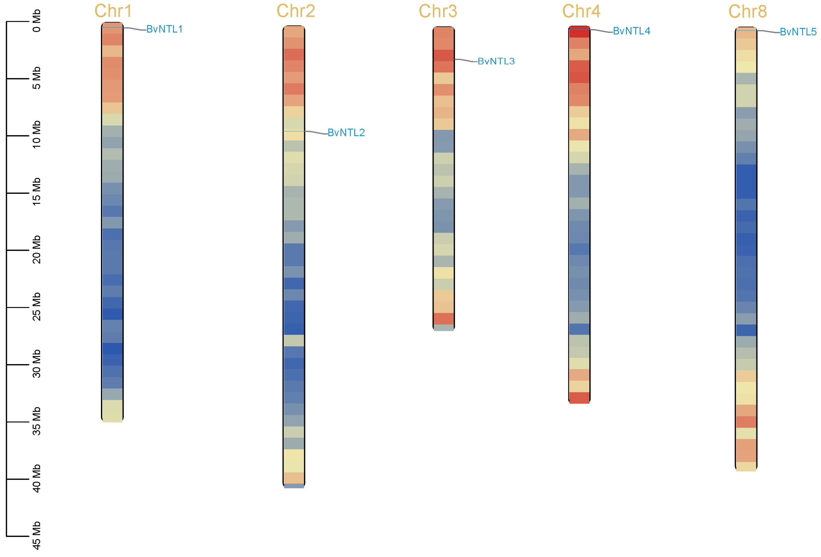 Plants 14 01528 g001