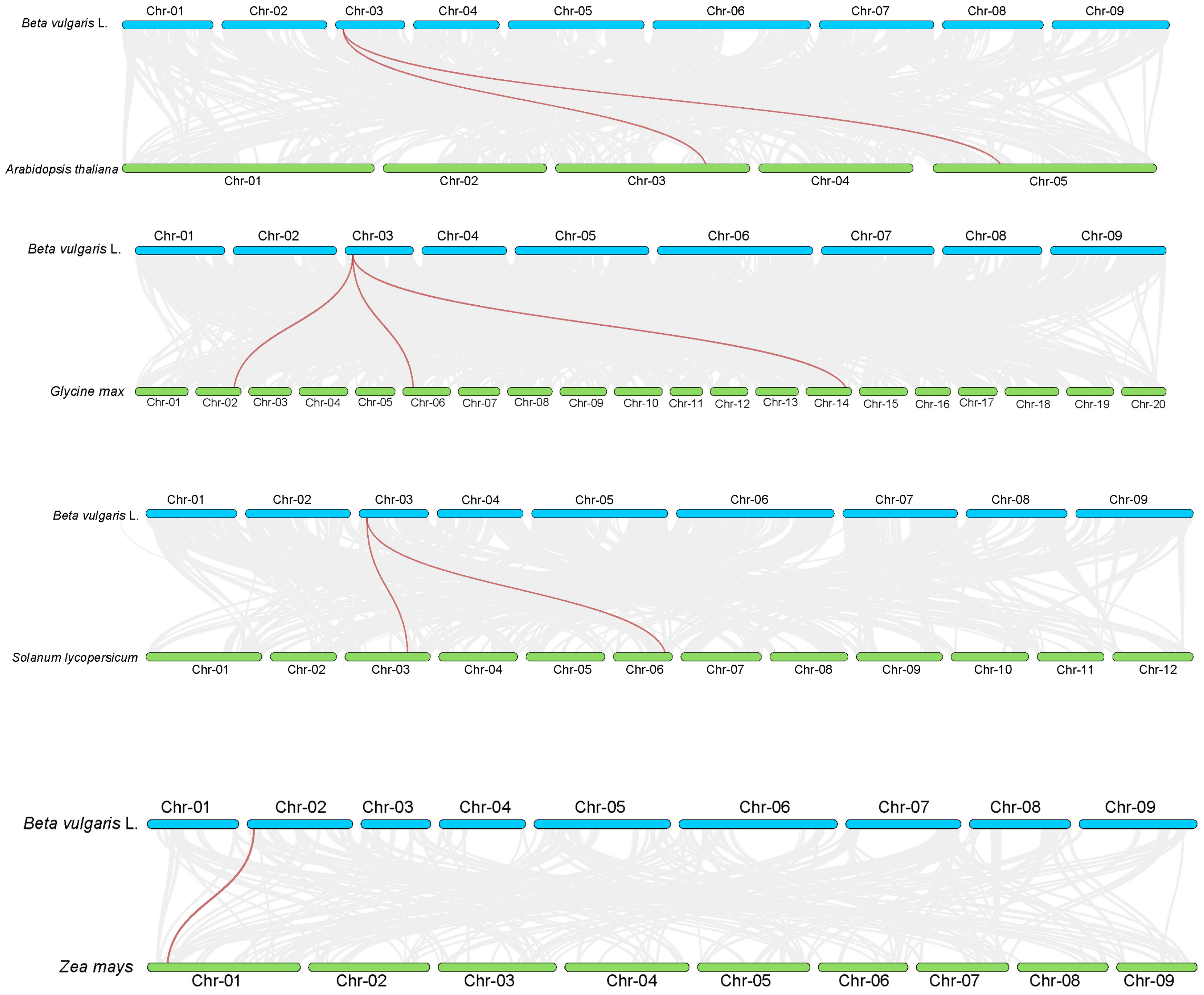 Plants 14 01528 g004