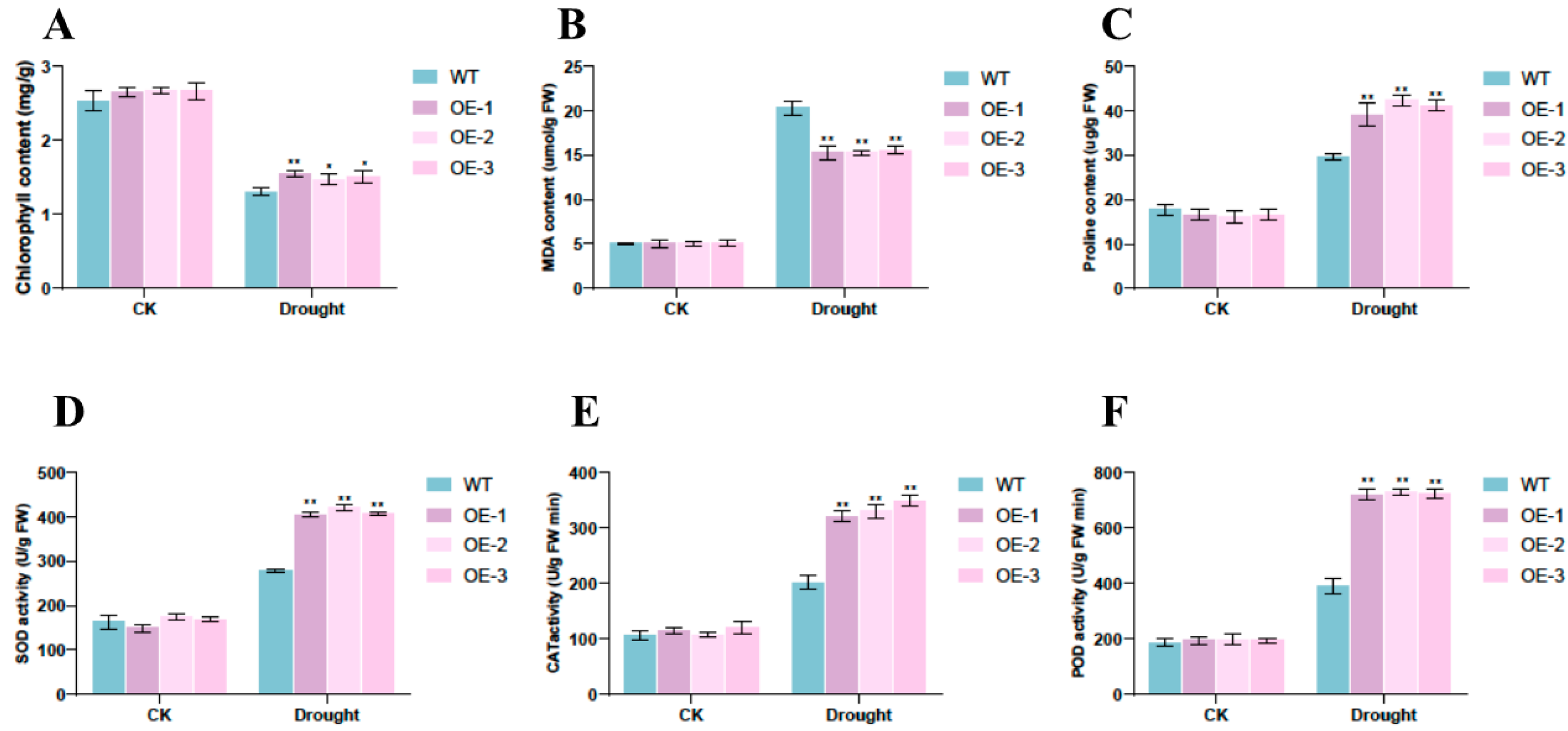 Plants 14 01528 g009