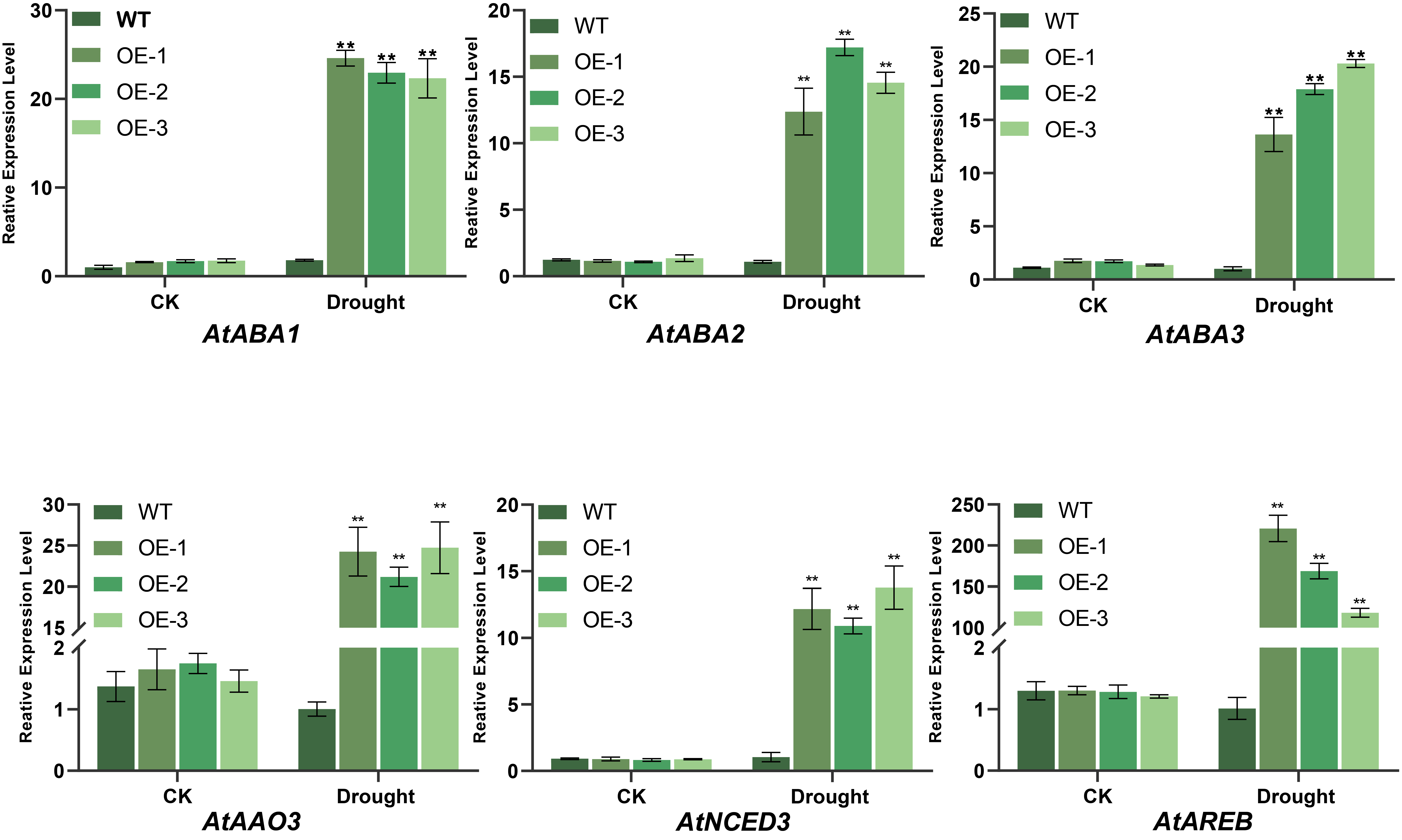 Plants 14 01528 g010