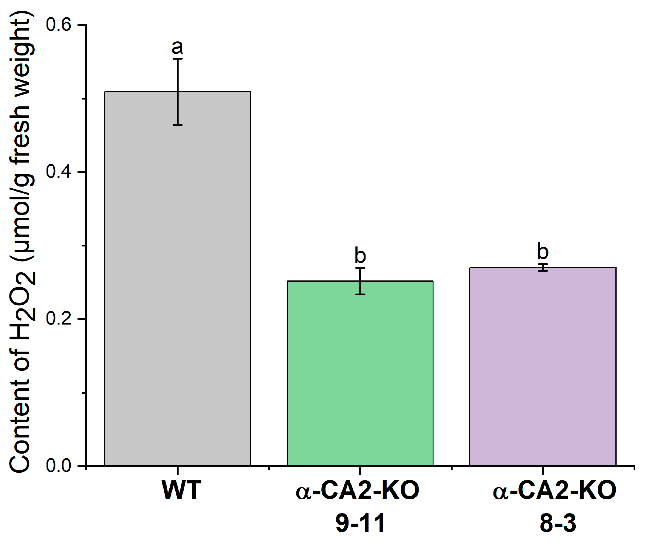 Plants 14 01529 g004