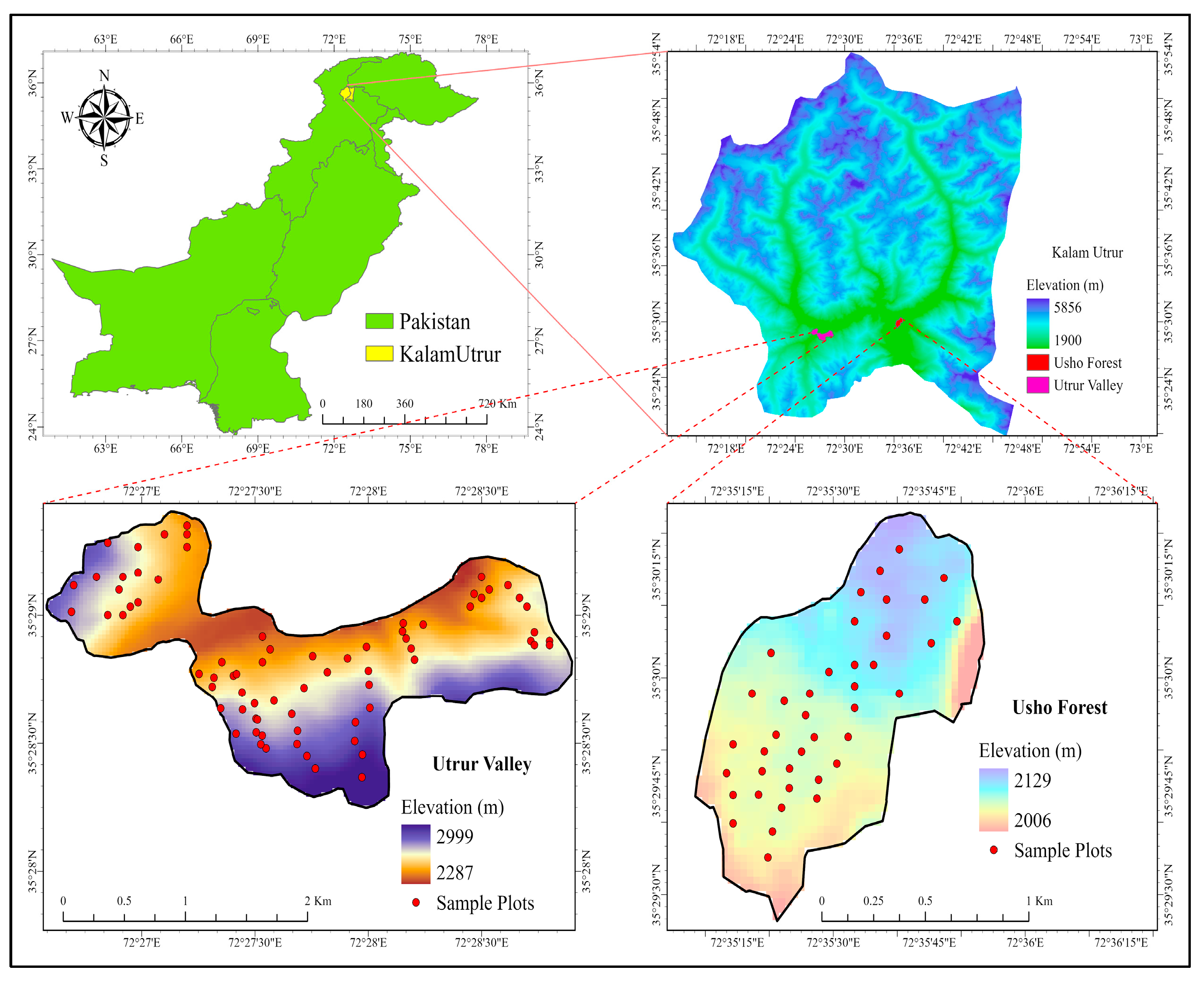 Plants 14 01534 g008