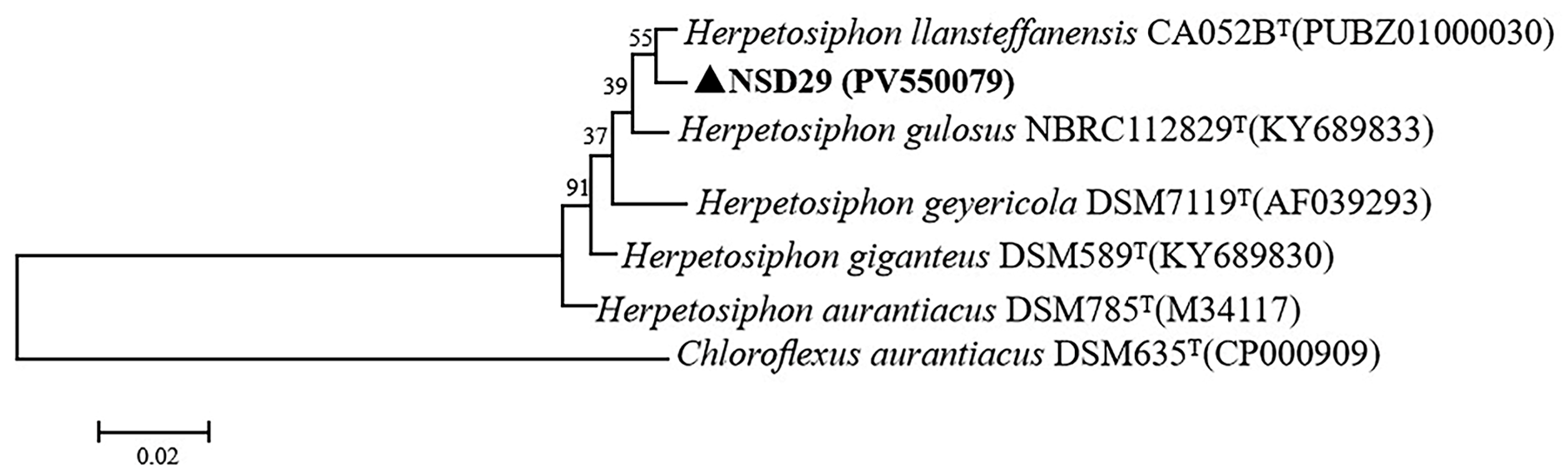 Plants 14 01564 g002