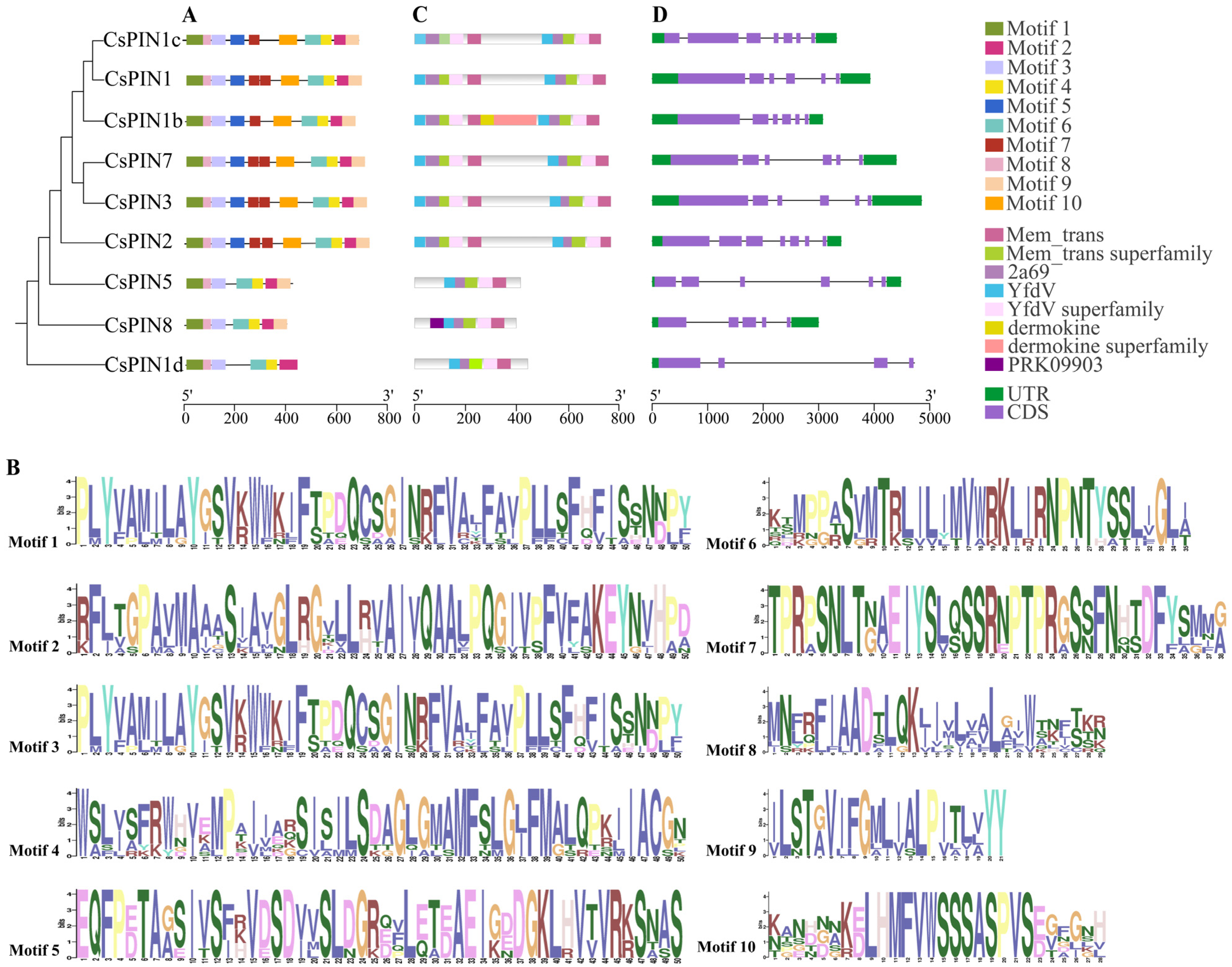 Plants 14 01566 g003